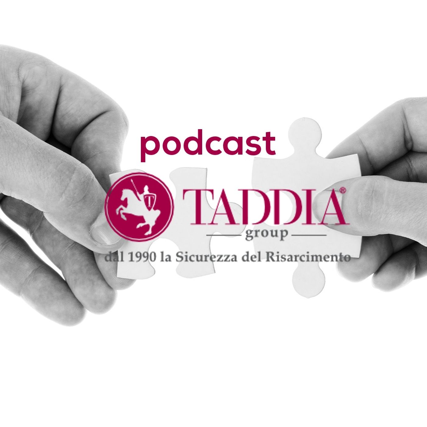 taddia group