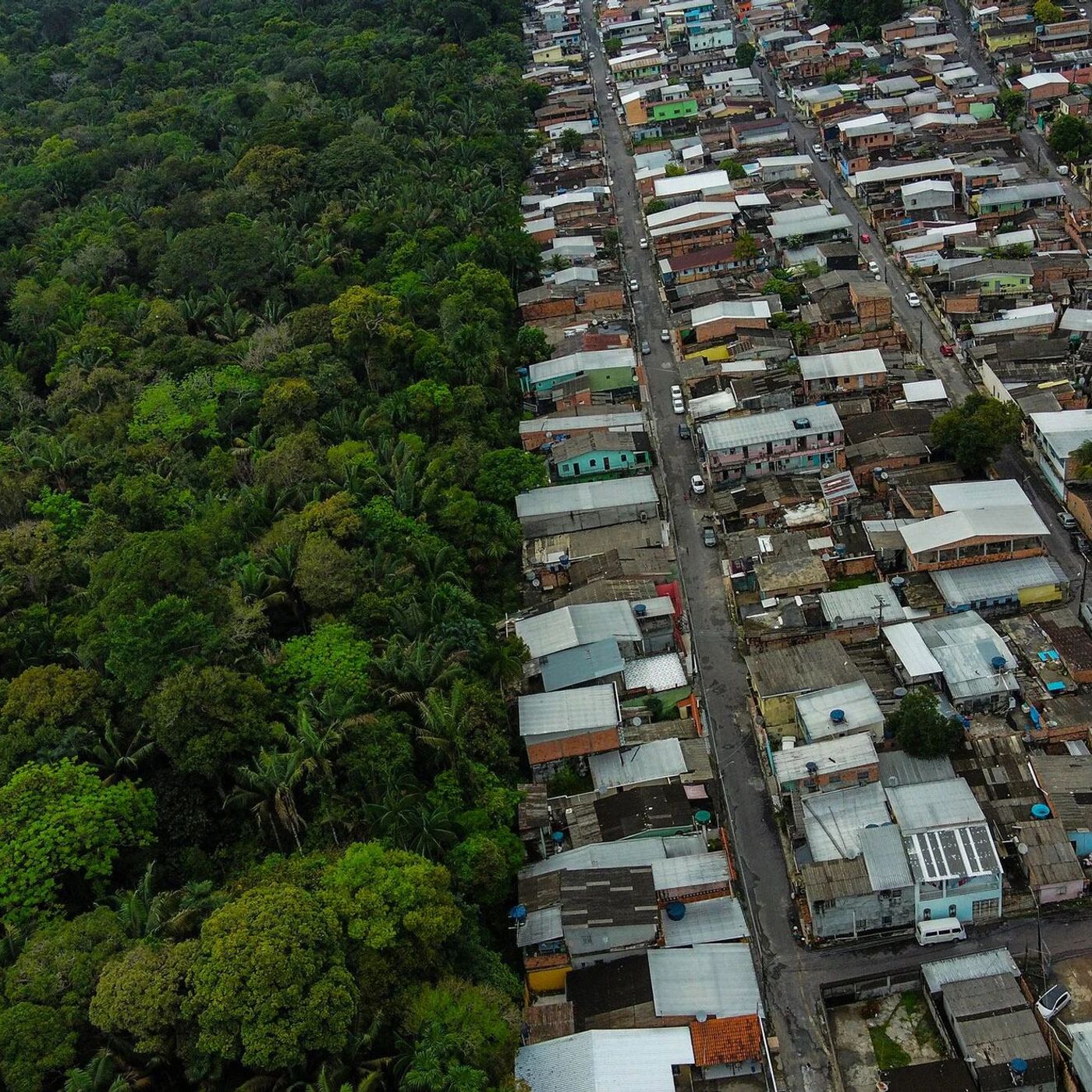 Rumo a 2030, Brasil enfatiza plano para manter floresta em pé e gerar renda episode artwork
