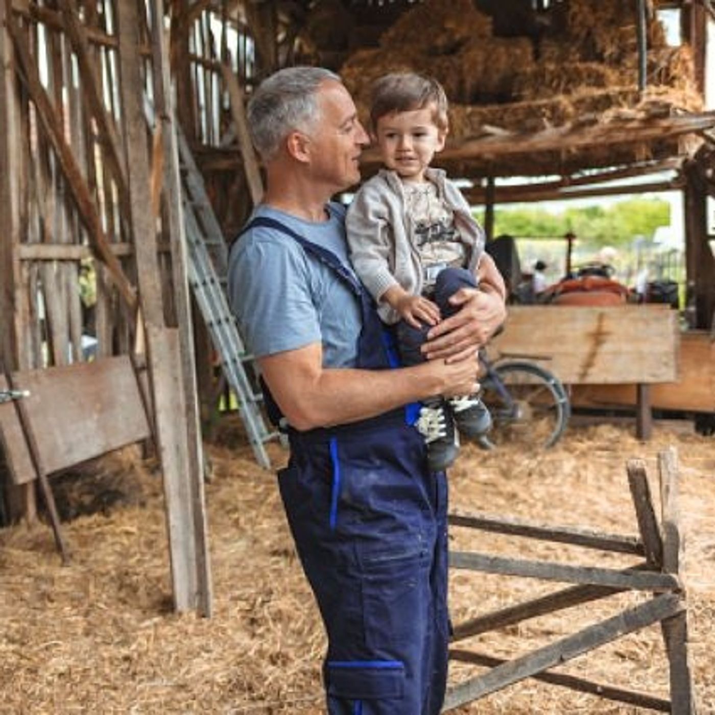 Young Farm Boy Learns About the Birds and the...COWS! episode artwork