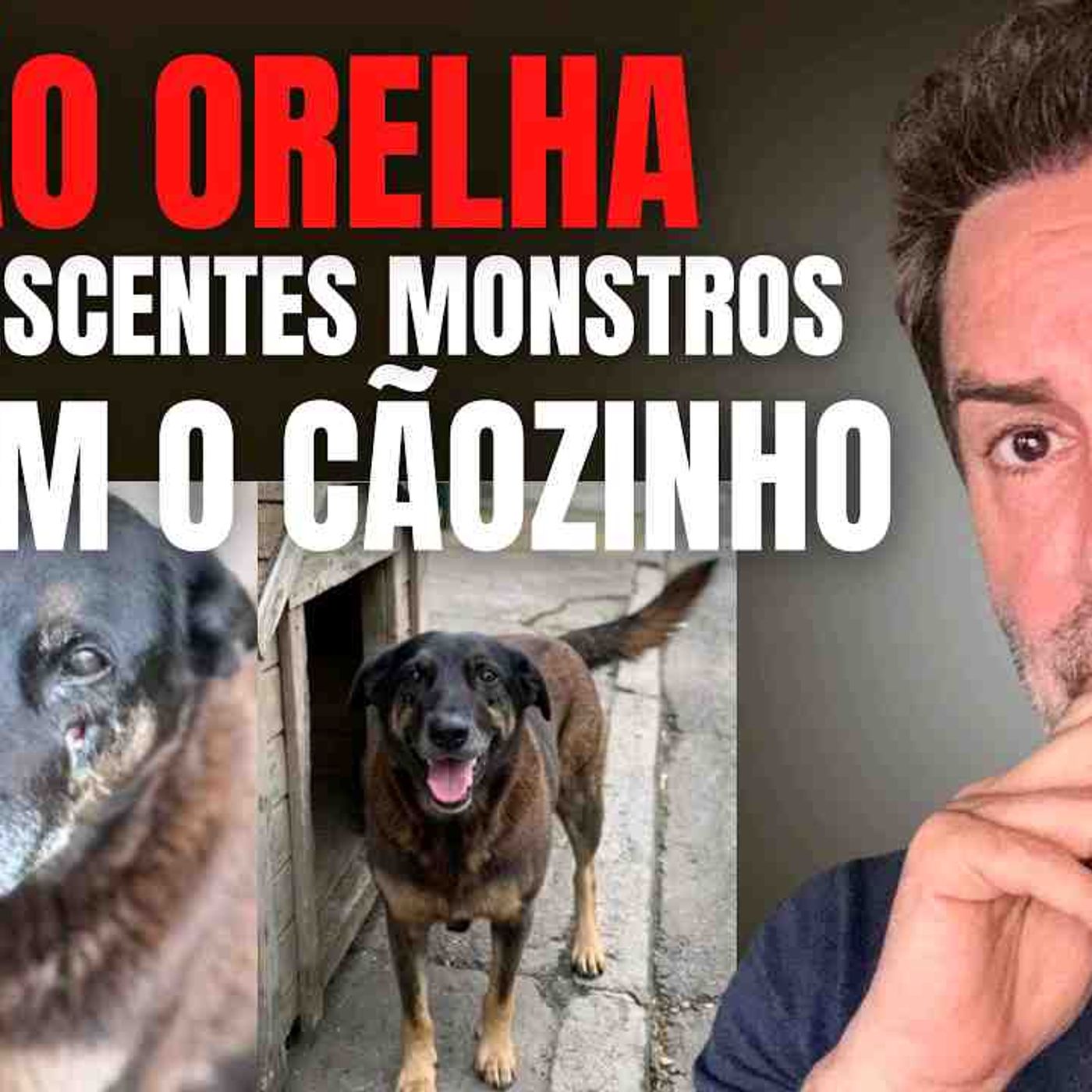 CÃO ORELHA - ESPANCADO E MORTO POR 4 ADOLESCENTES DEMÔNIOS NA PRAIA BRAVA - HAVERÁ JUSTIÇA