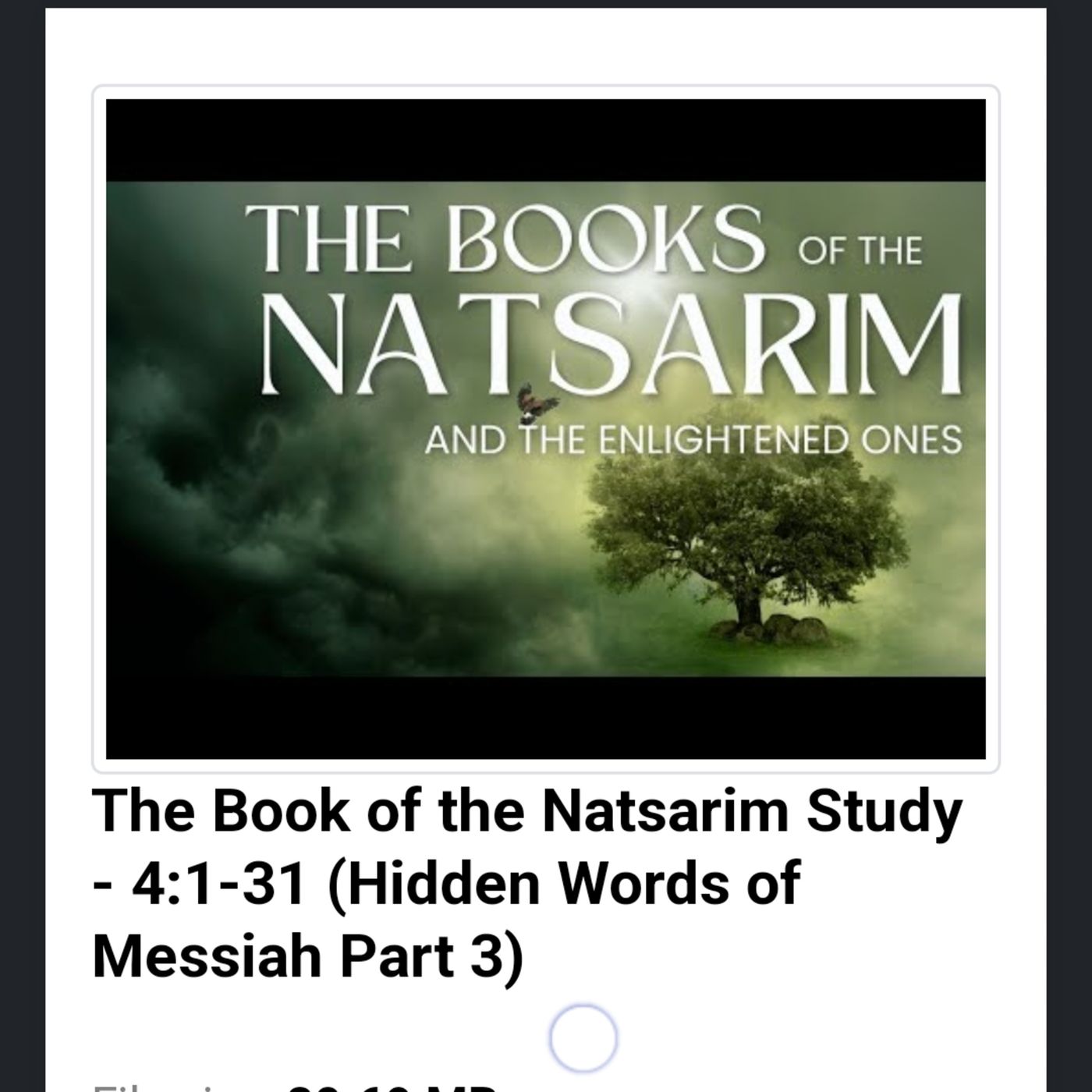 The Book of the Natsarim Study - 4:1-31 (Hidden Words of Messiah Part 3) episode artwork