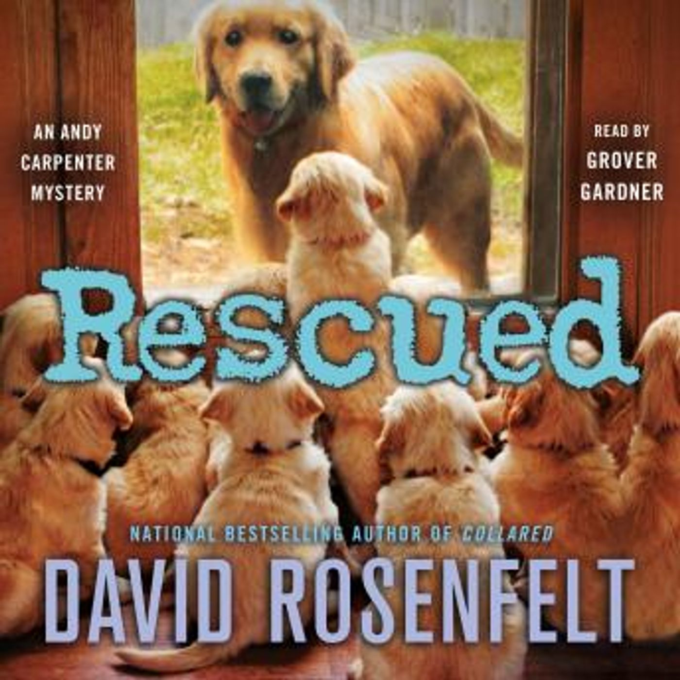 Access Unmissable Full Audiobooks in Mystery, Thriller & Horror, Suspense