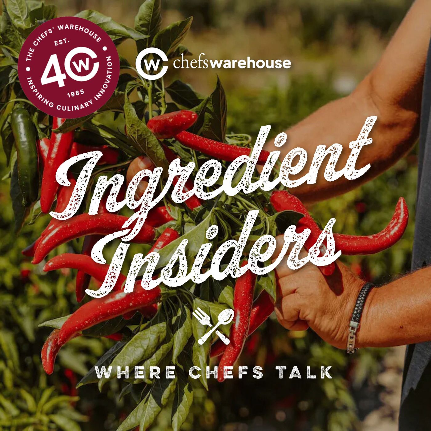 Ingredient Insiders: Where Chefs Talk