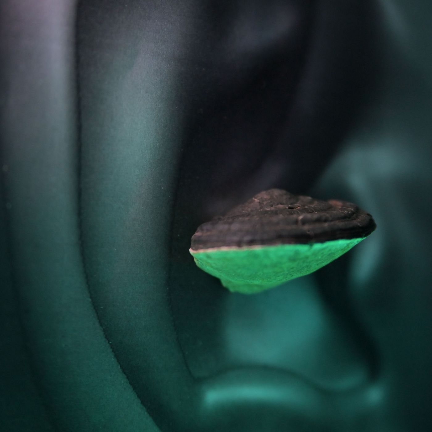 Audioreflection pod