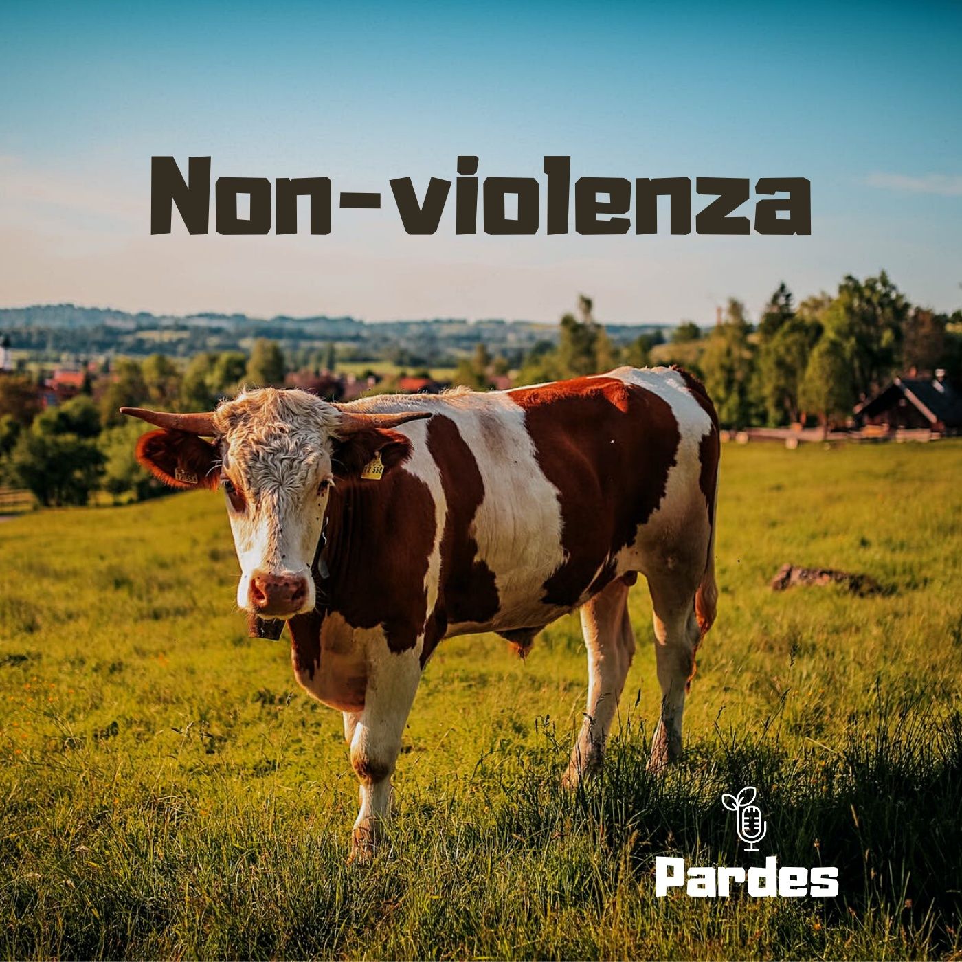 PARDES 084 - nonviolenza