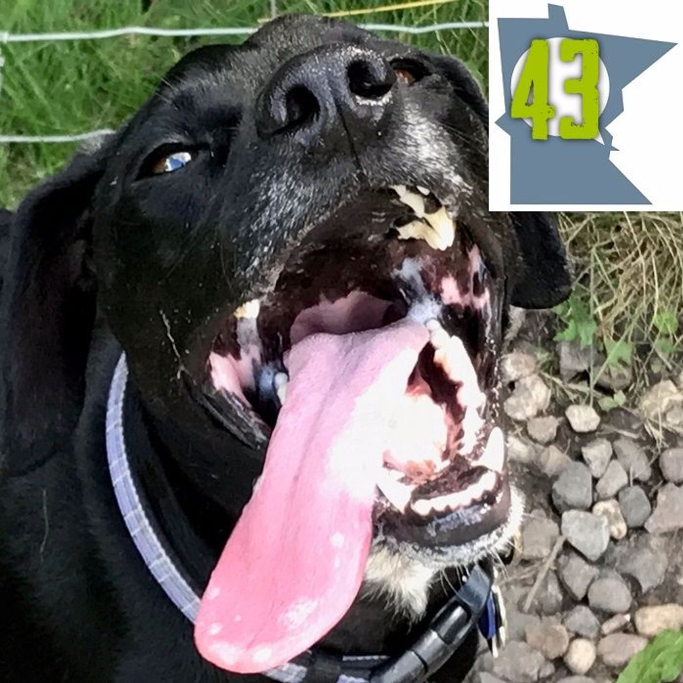 Episode 43: Gabe Noah and Tevin Pittman of 'Profession Confession'