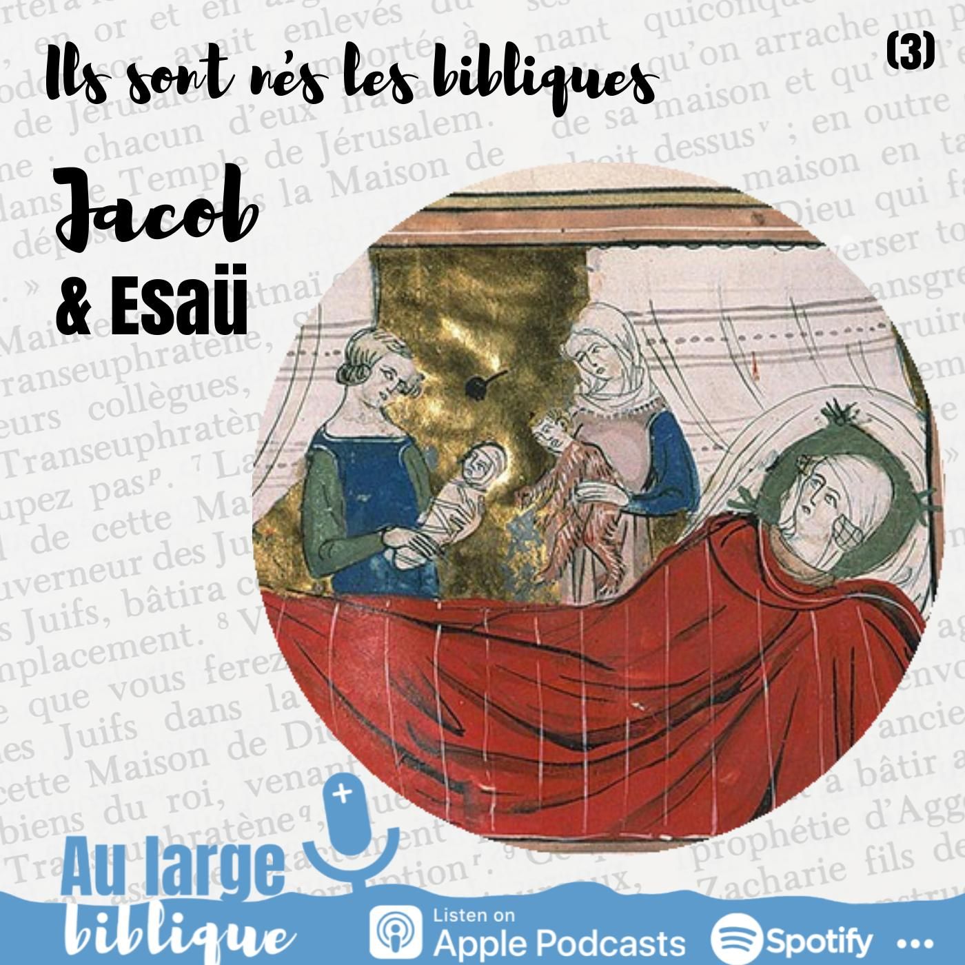 #104 Ils sont nés les bibliques Jacob et Esaü