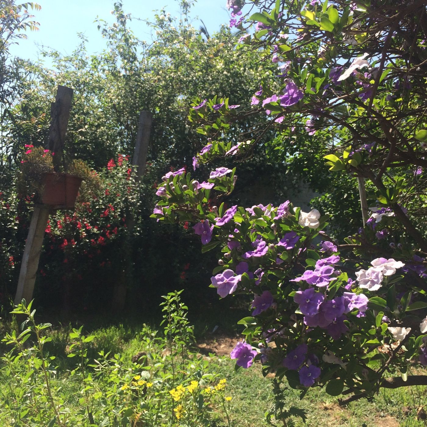 Experiencias Transformadoras