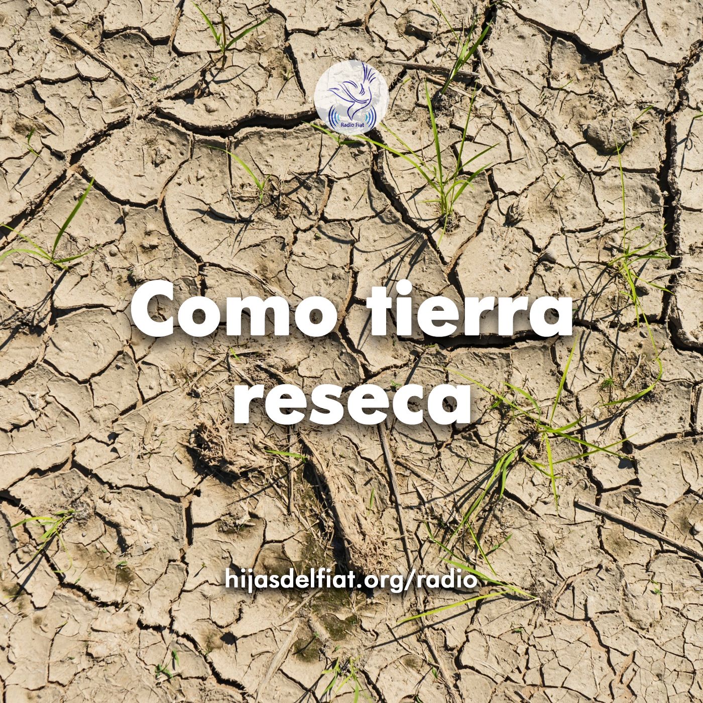 Escucha a Dios - Como tierra reseca 02 episode artwork