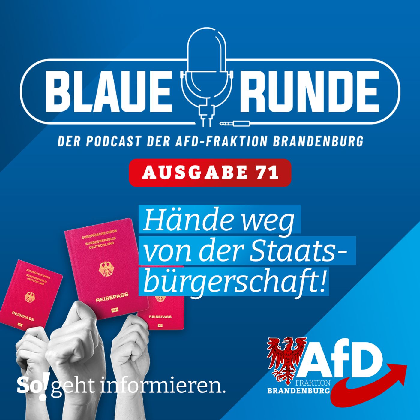 "Hände weg von der Staatsbürgerschaft!" | Die BLAUE RUNDE, Ausgabe 71/23 vom 06.09.2023 episode artwork