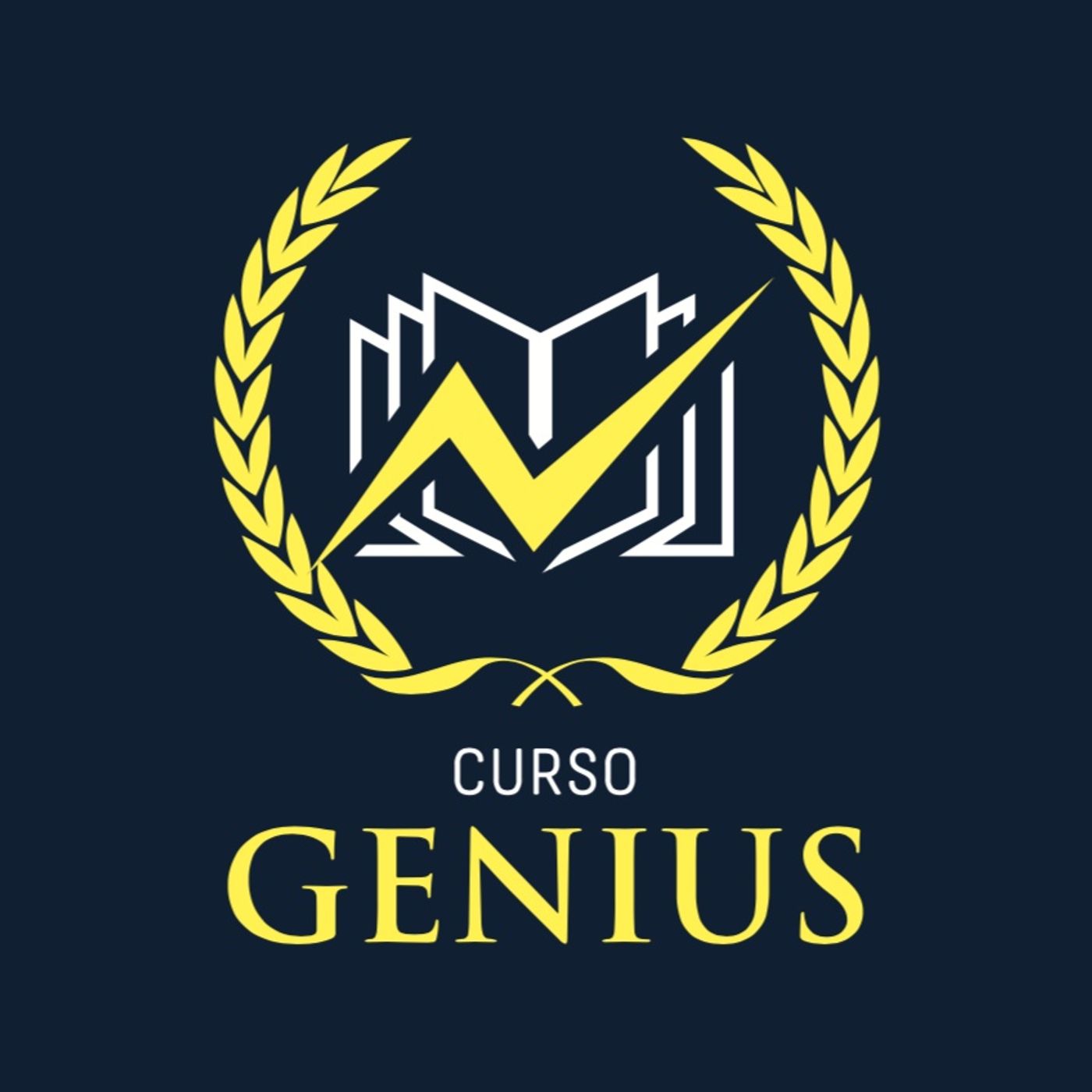 1. Que es el Curso Genius?