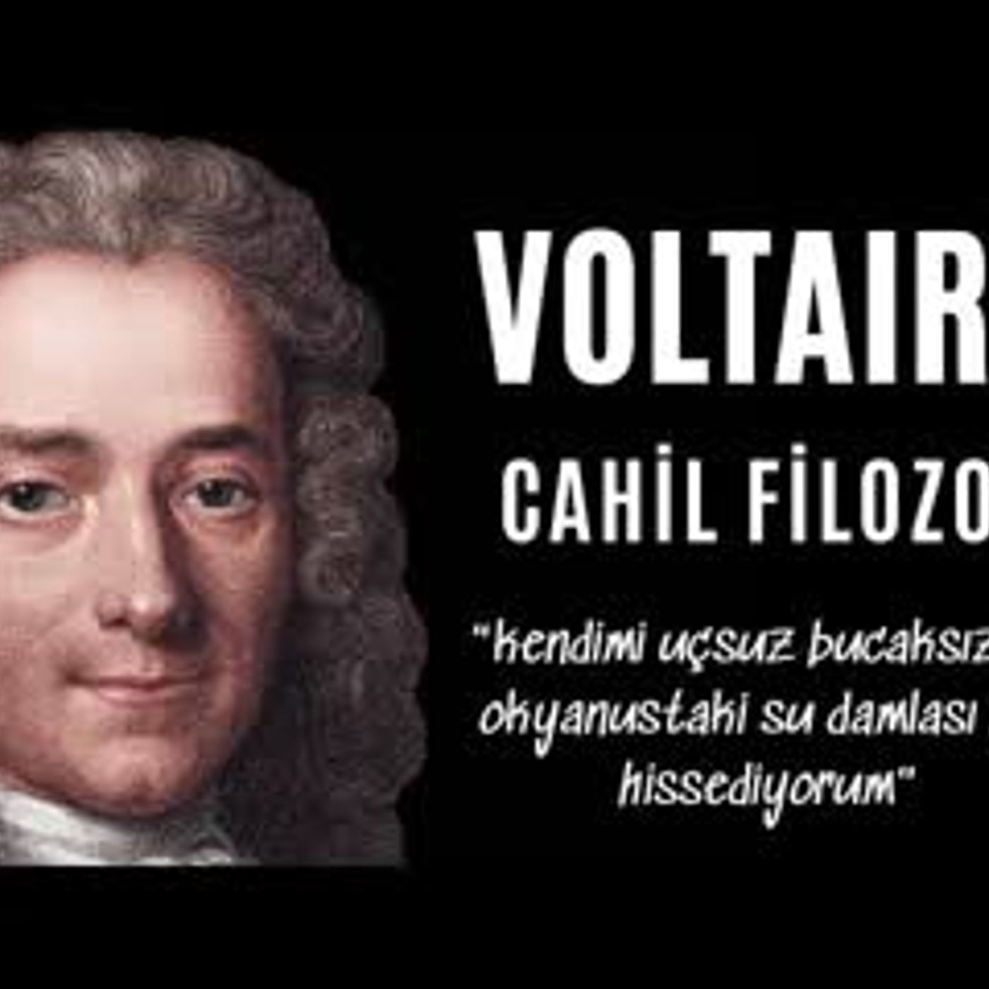 Voltaire - Cahil Filozof - Sesli Kitap Dinle