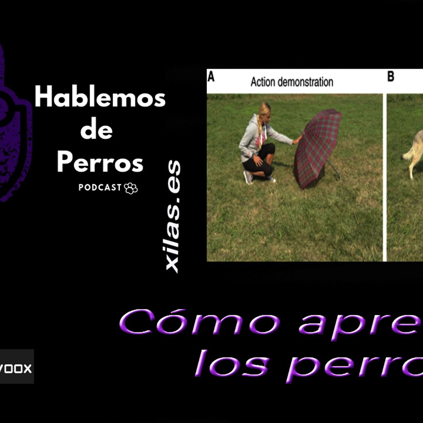 Hablemos de perros