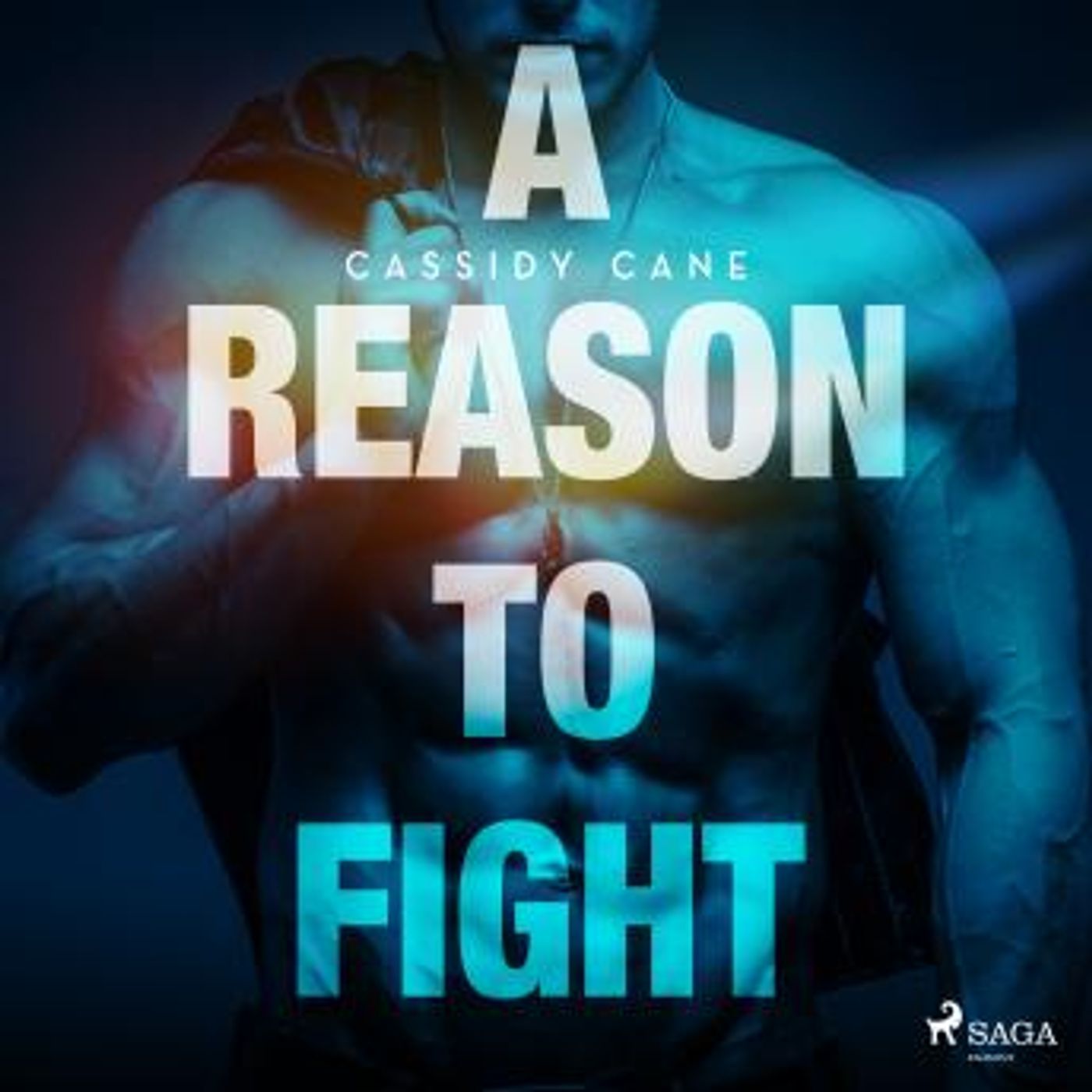 [German] - A Reason to Fight: Eine heiße Single Dad Romance by Cassidy Cane episode artwork