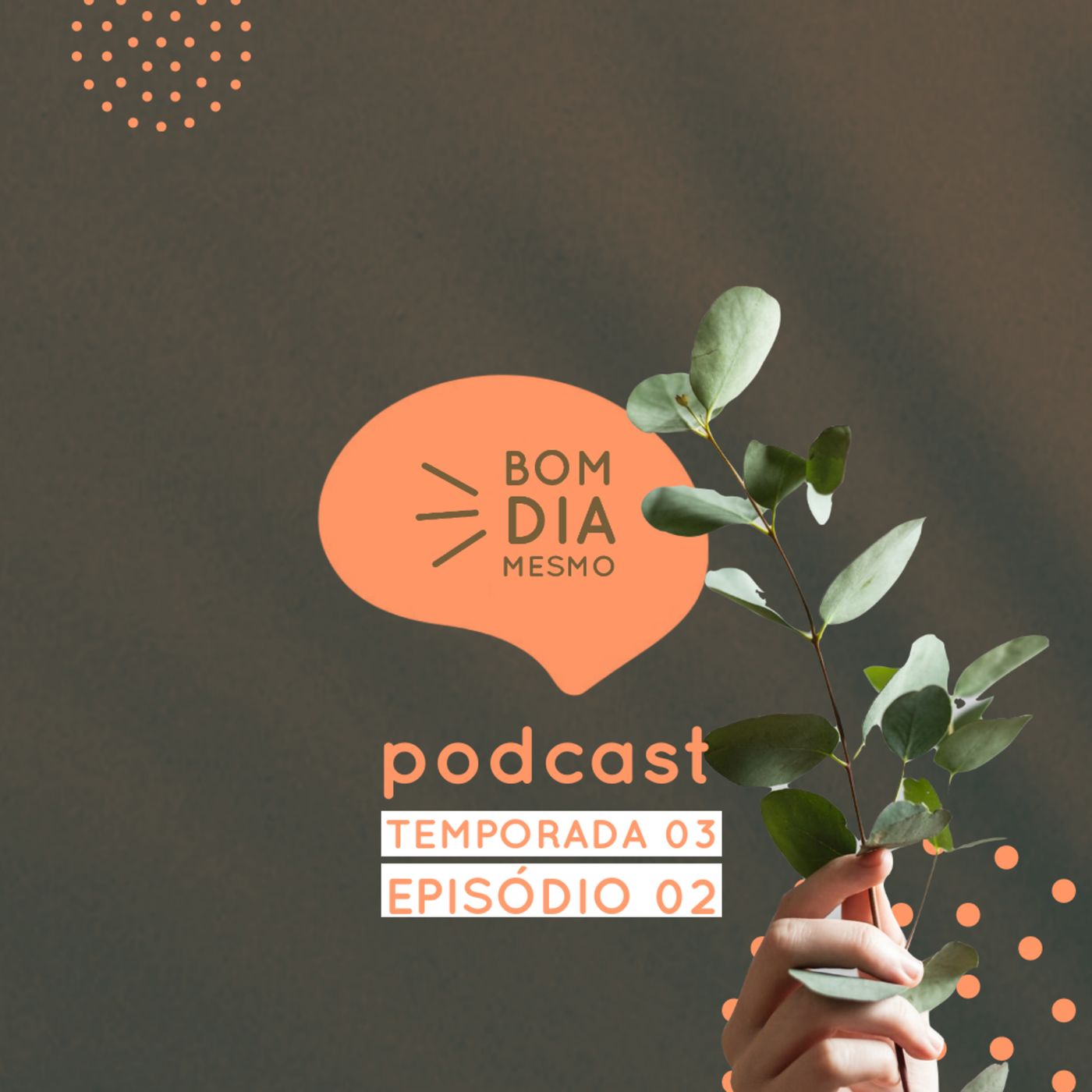 Bom dia Mesmo