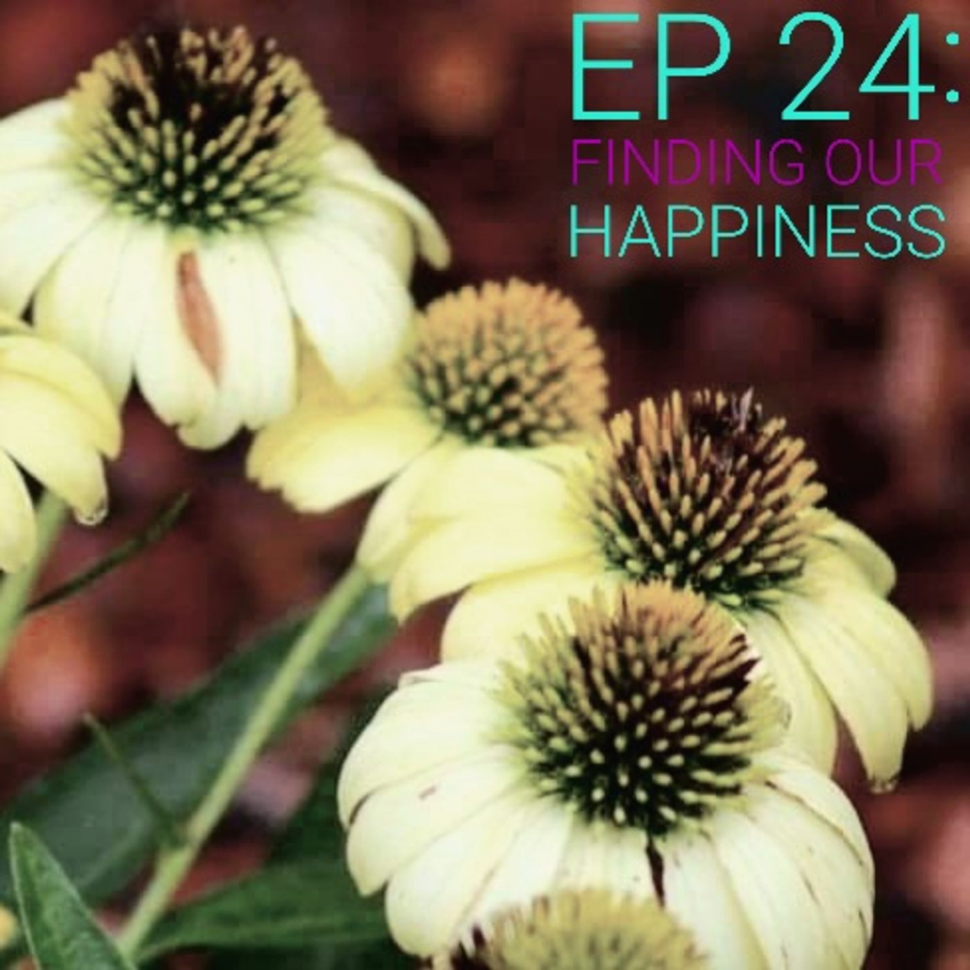 EP 24: Finding Our Happiness
