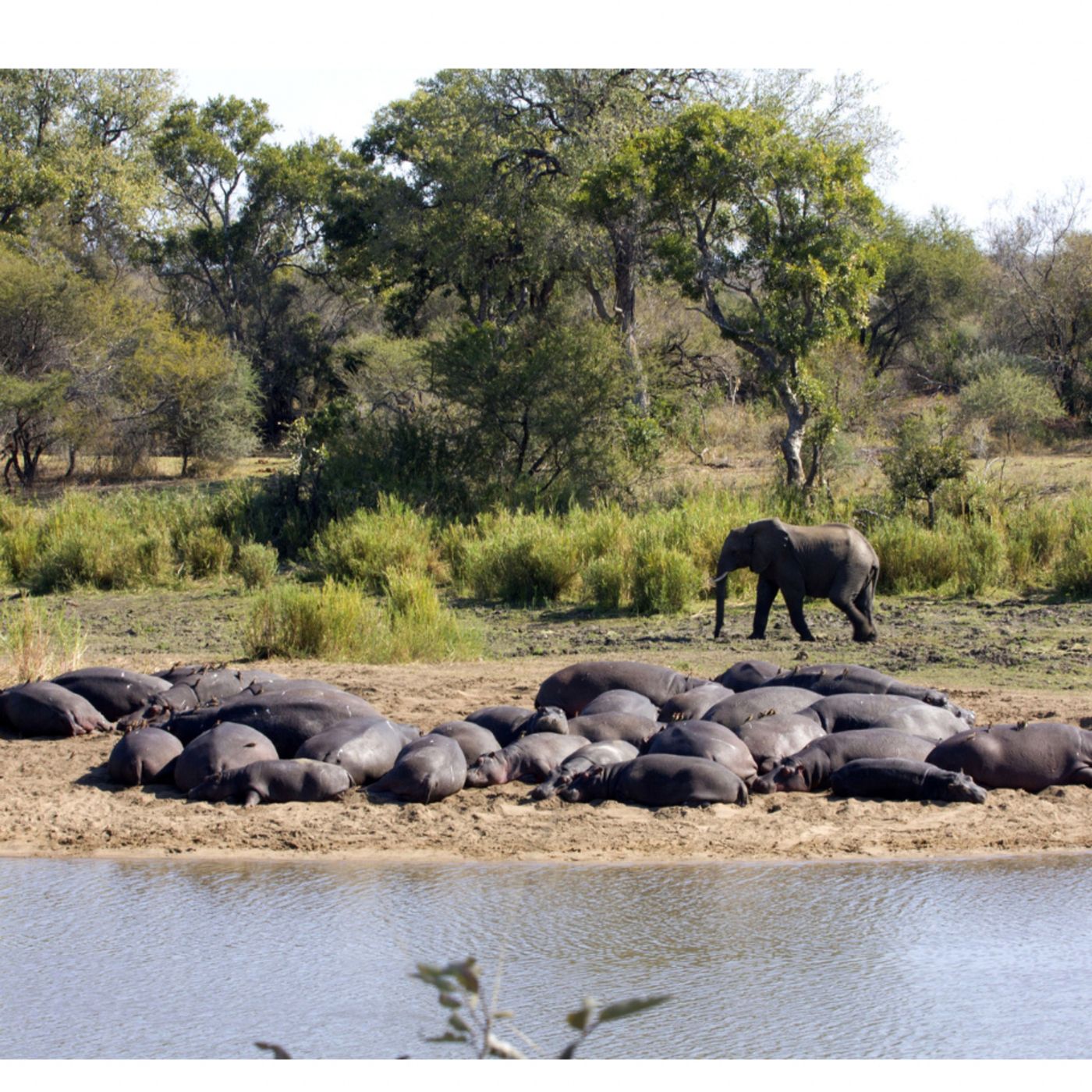 Aventuras de Trueno el toro N -6