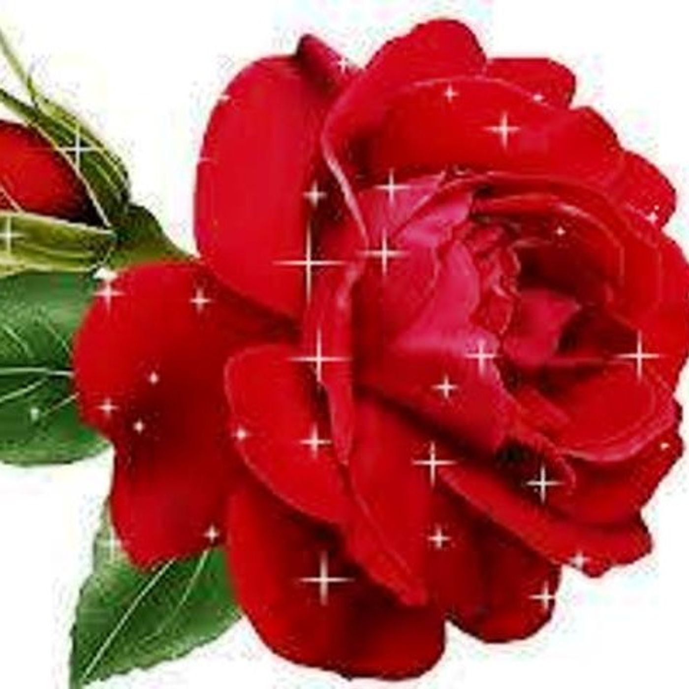 GLADYS (SEUDONIMO :FLORDELIZARGENTINA)