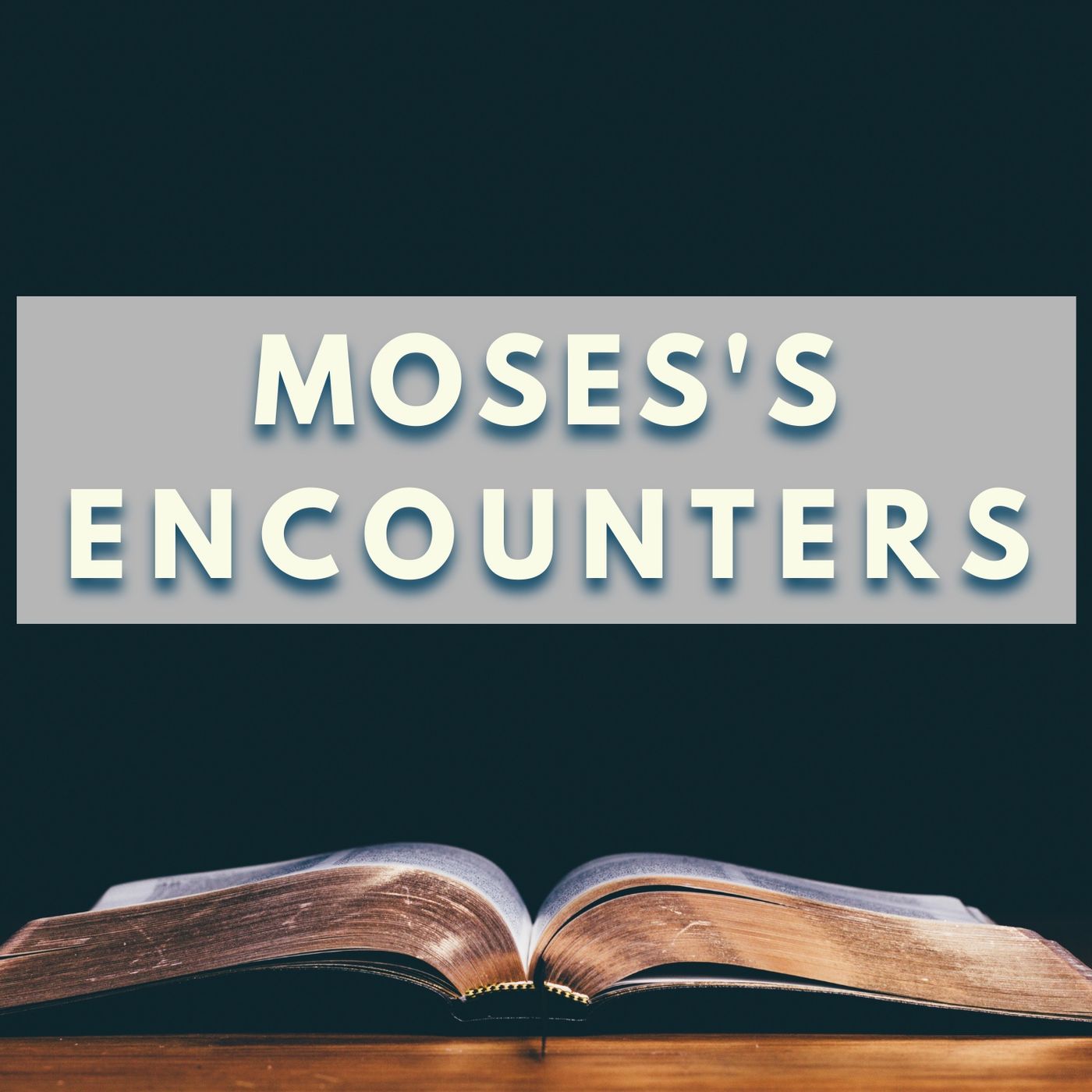 Moses's Encounters episode artwork