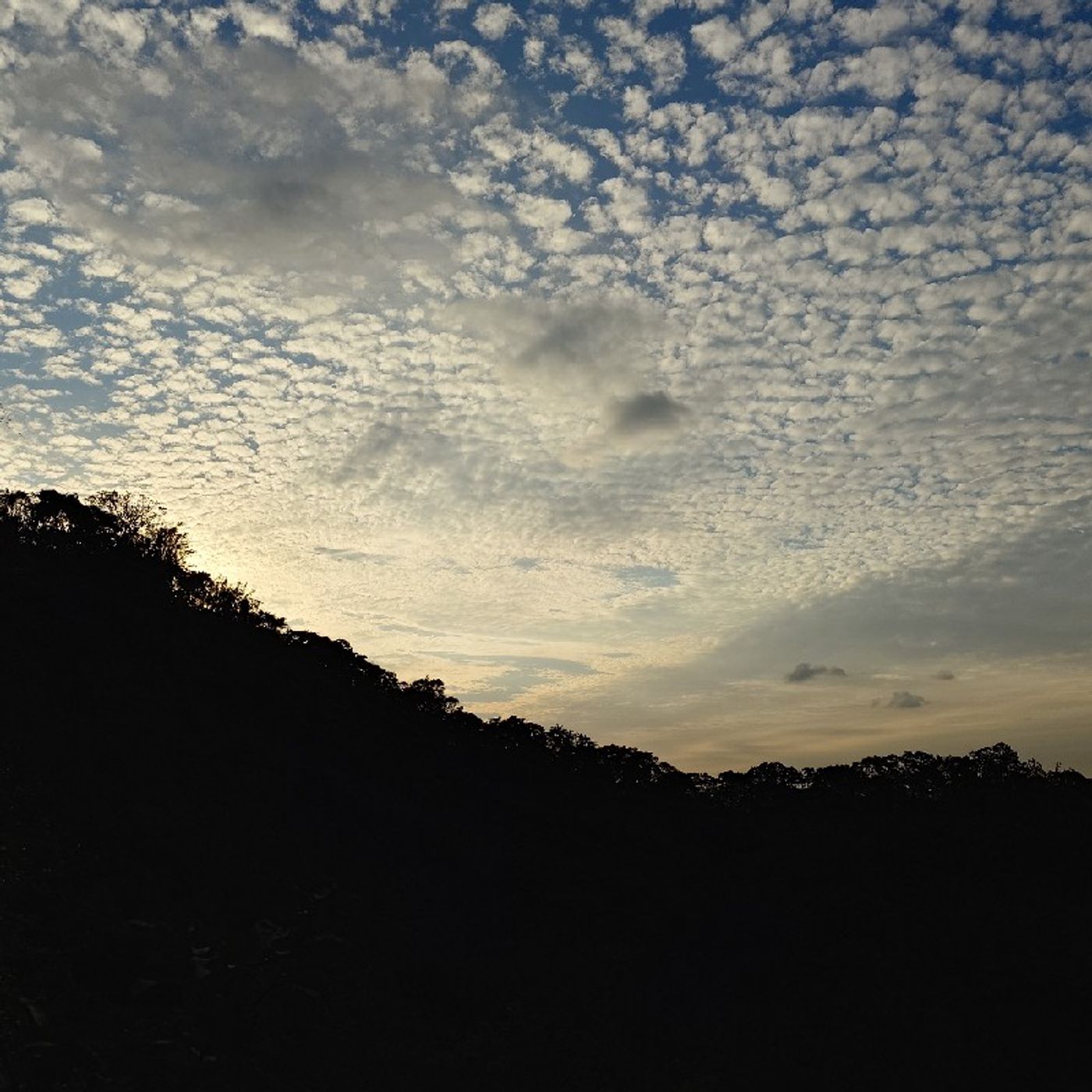 Ep260 - Diane's Tarot Diary: 我的塔羅日記 閒聊•塔羅準不準(下)