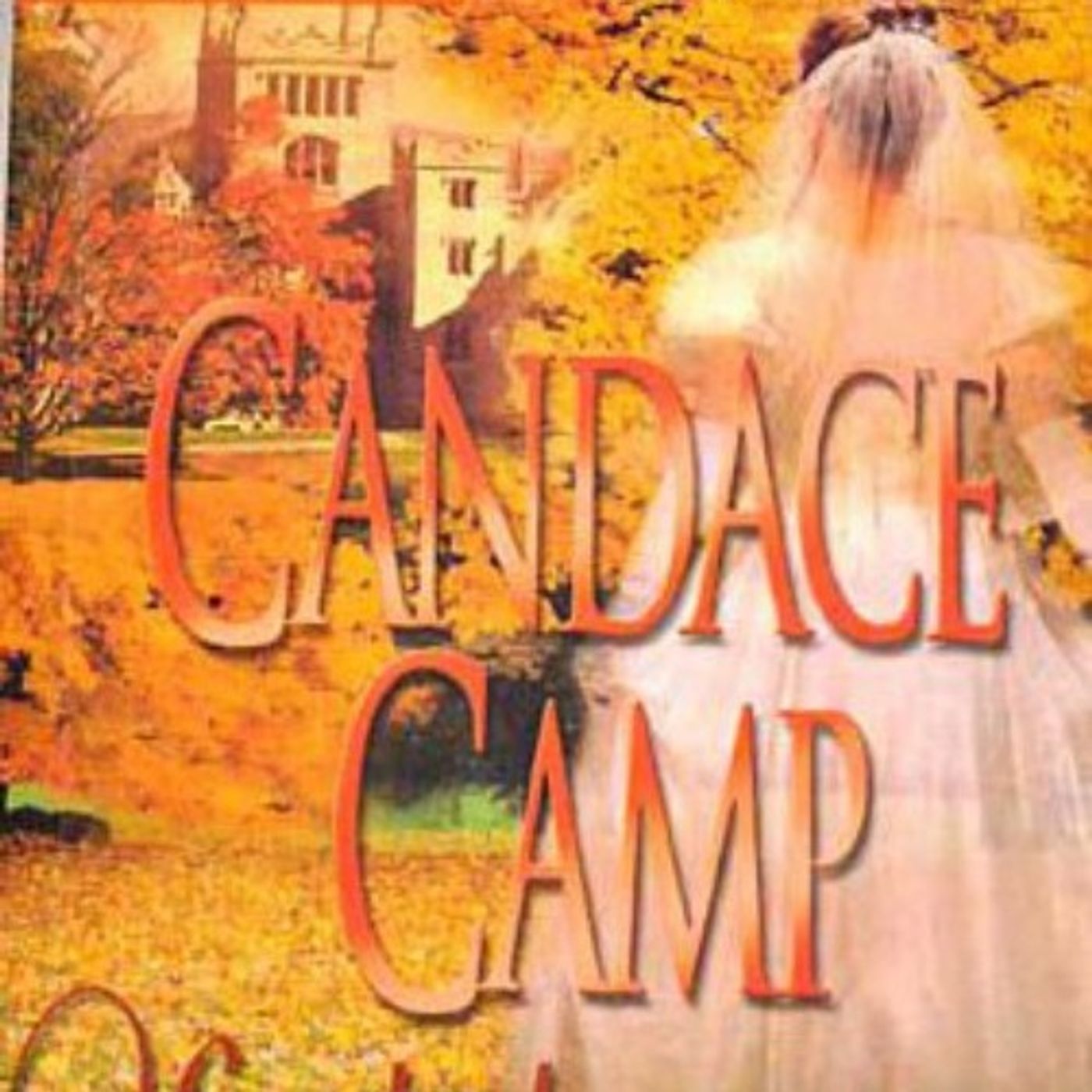 Un velo de misterio - Candace Camp