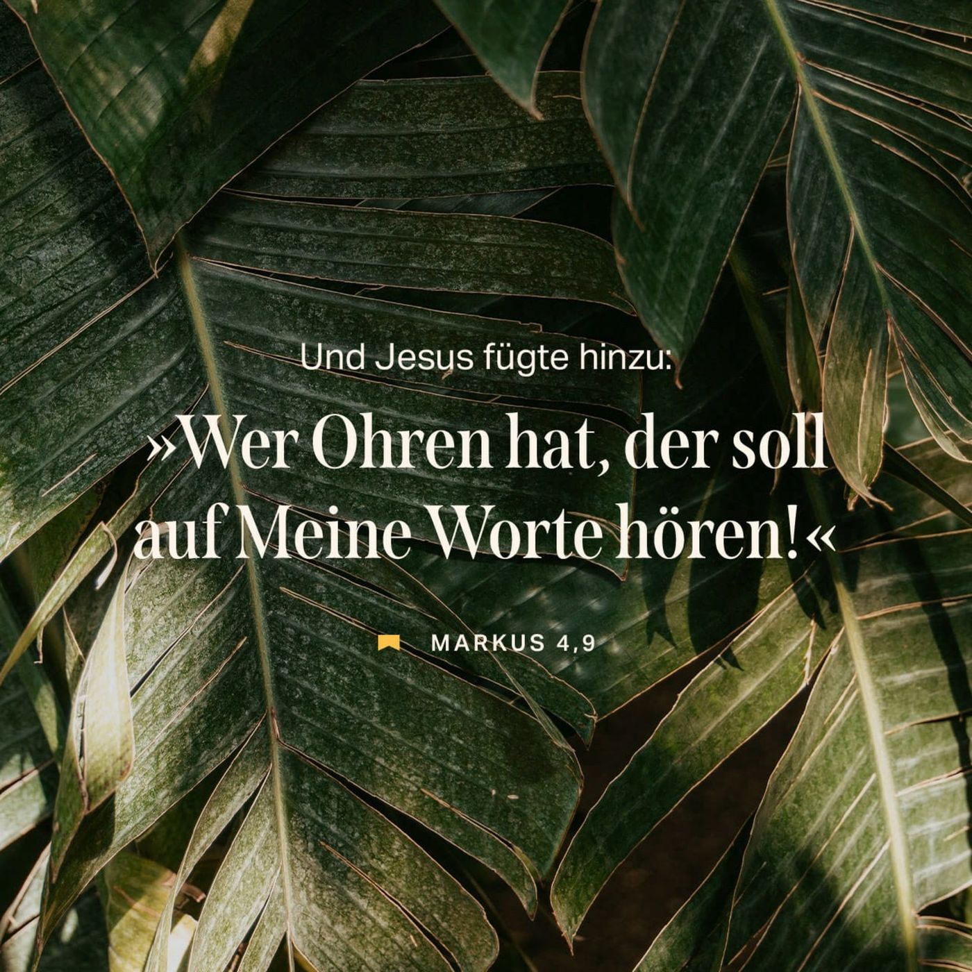 Mut zum Leben mit Jesus