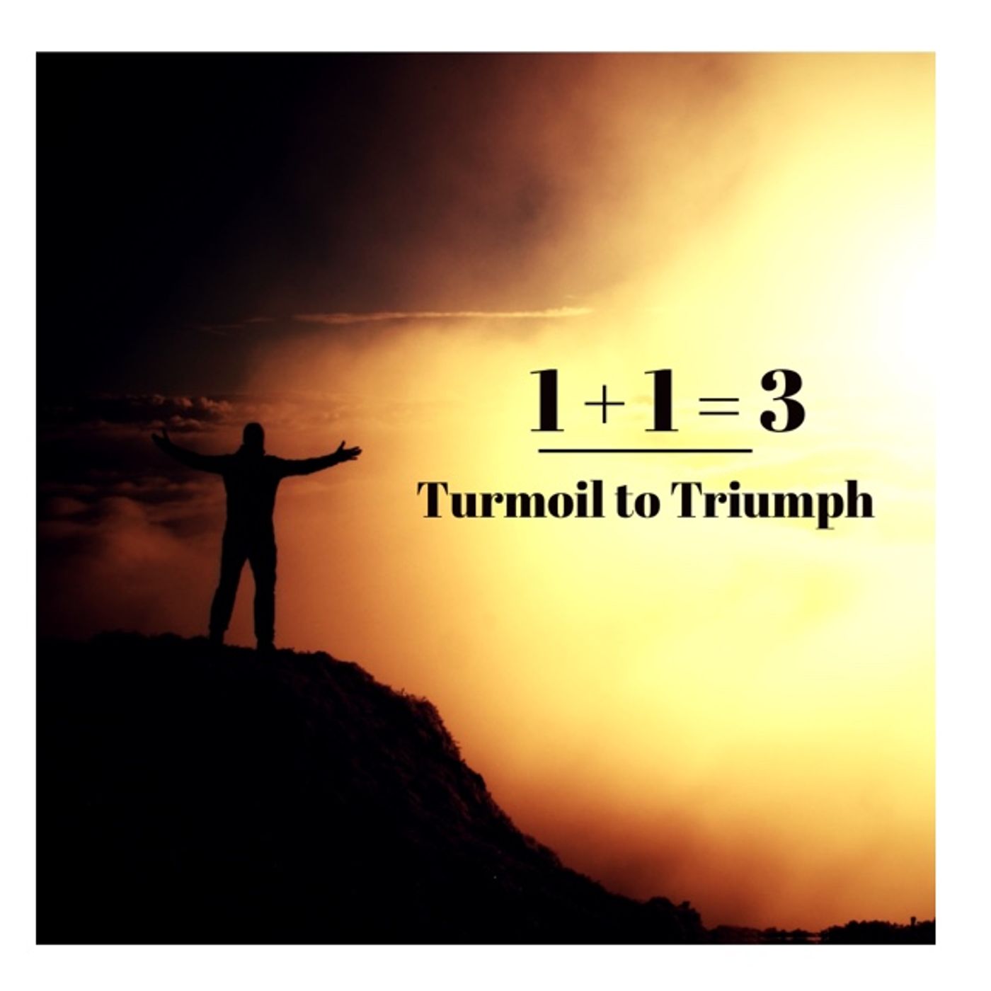 1+1=3 | Turmoil to Triumph