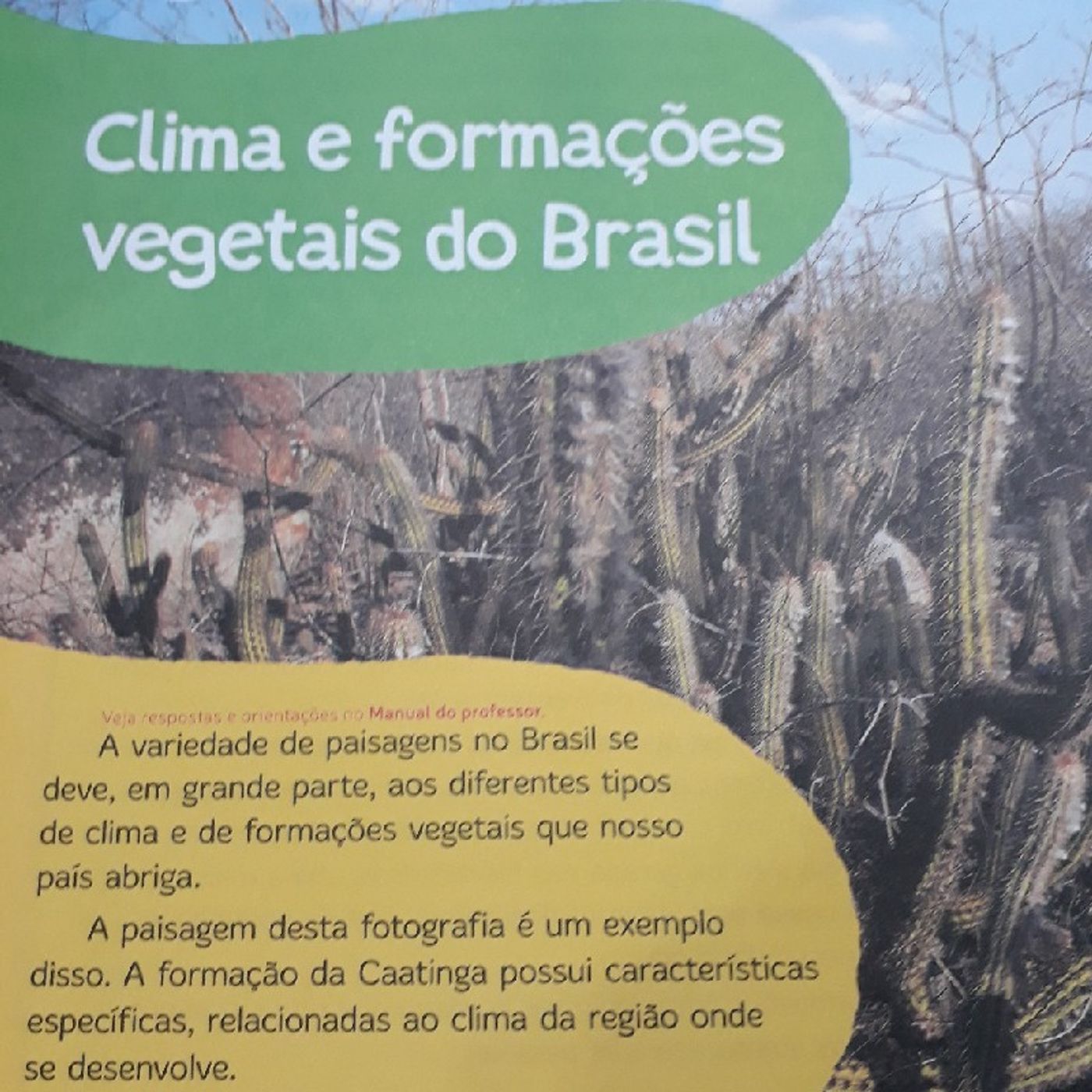 Tipos De Clima Do Brasil episode artwork