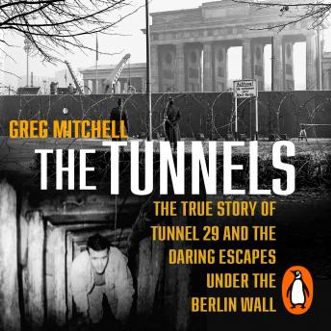 Download Top Full Audiobooks in History, Europe