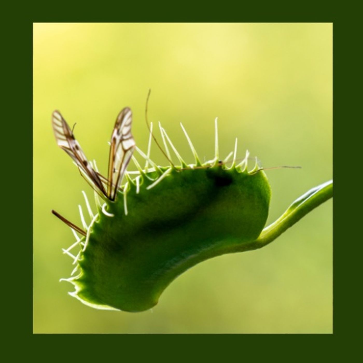 Giardino Futuro