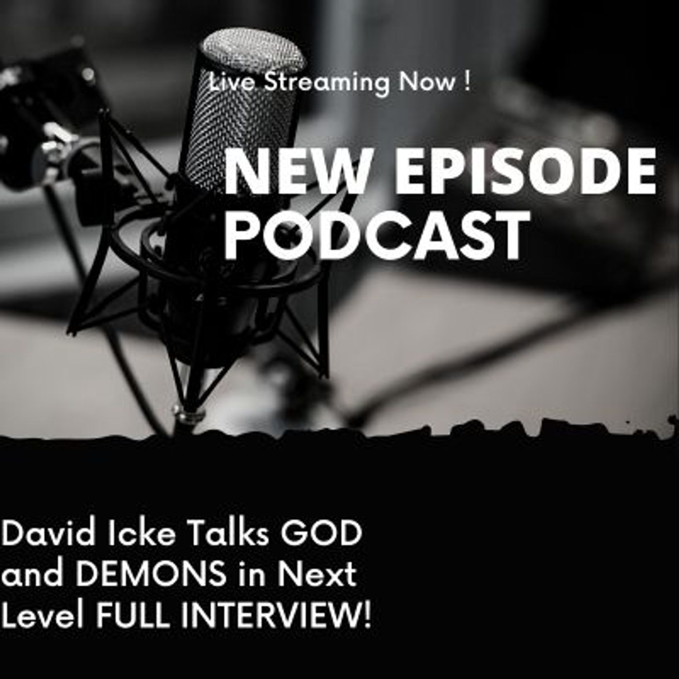 The Bear Truth, Podcast