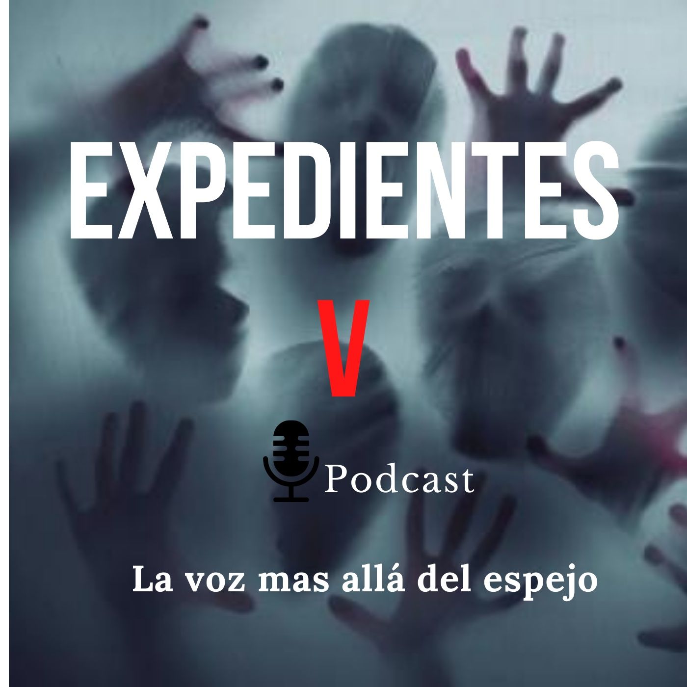 Expedientes V