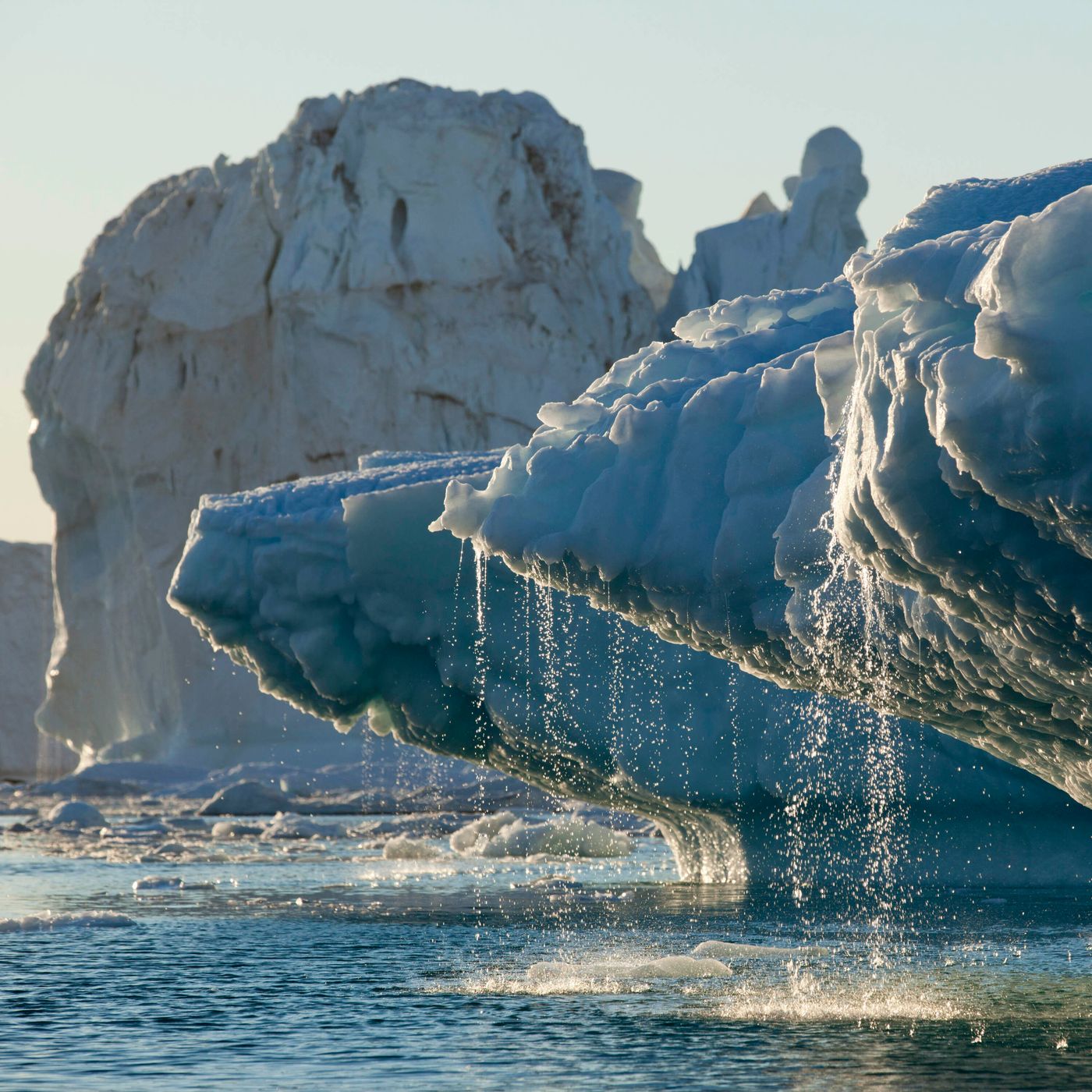 From Family Planning To Recycling: Your Climate Questions Answered episode artwork