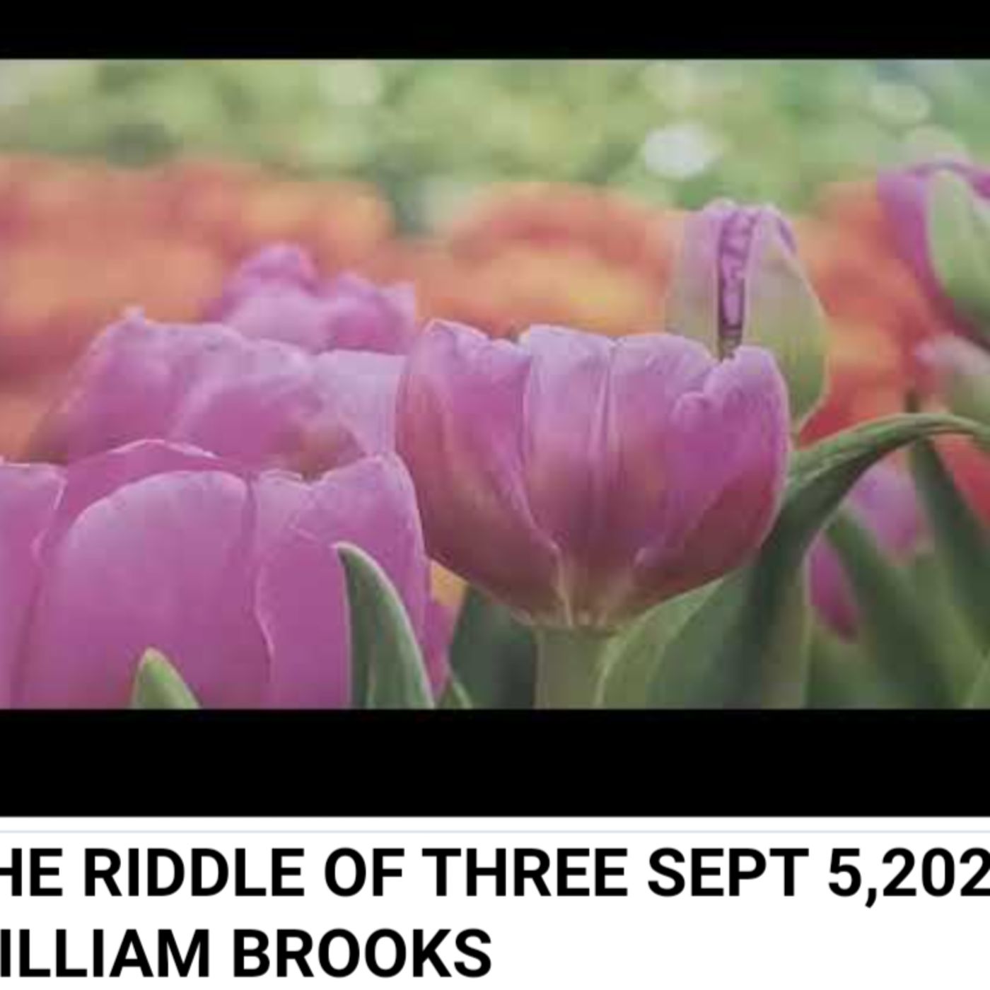 THE RIDDLE OF THREE SEPT 5,2024 WILLIAM BROOKS episode artwork
