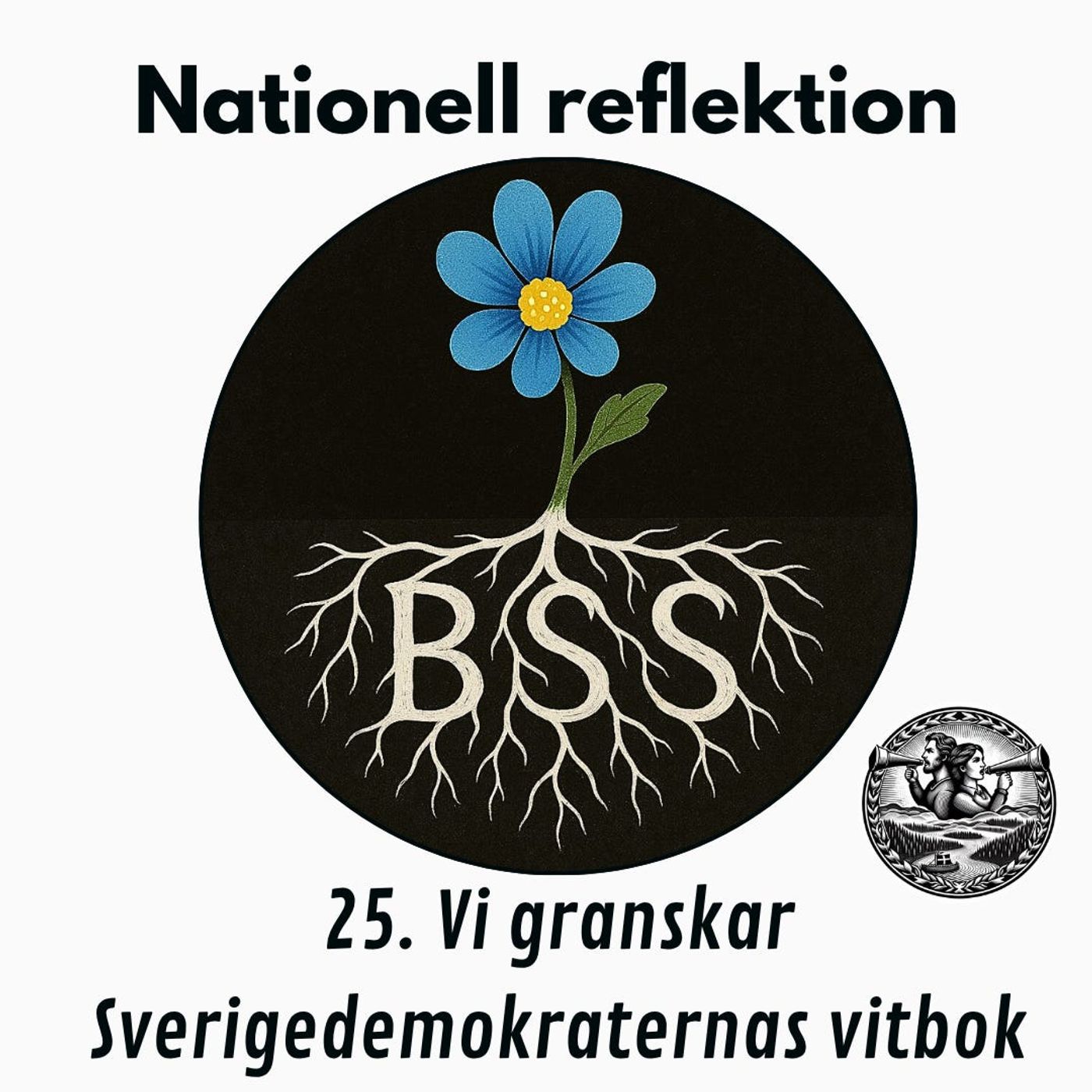 Nationell reflektion