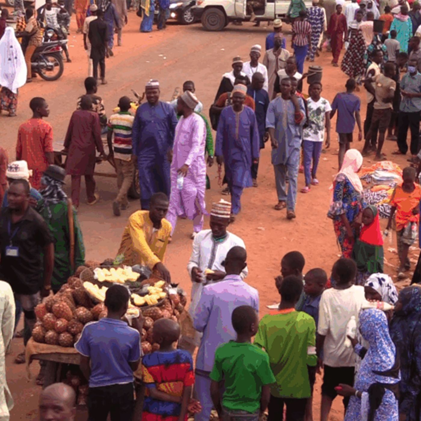 Démographie, numérique et initiatives locales (Le Niger sur Kalangou) episode artwork
