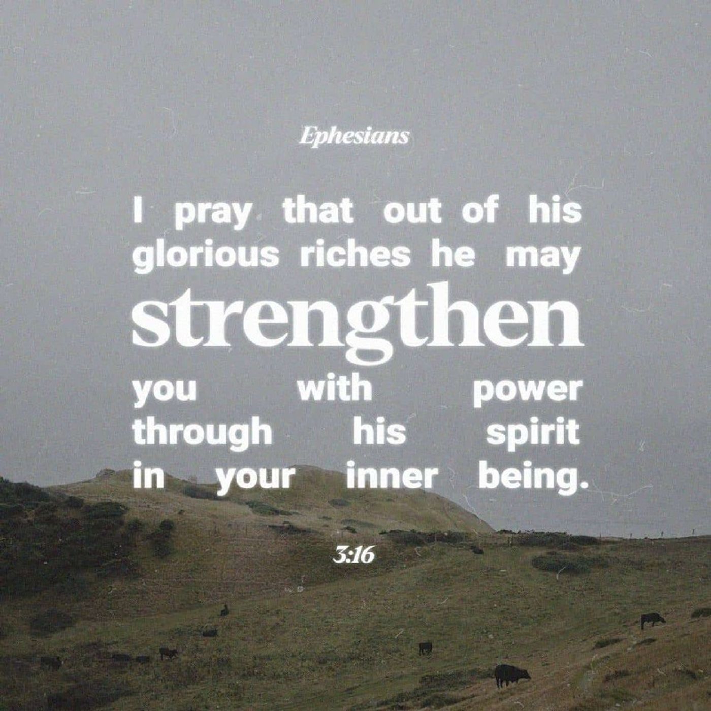 Kathleen_InChrist\'s New Life