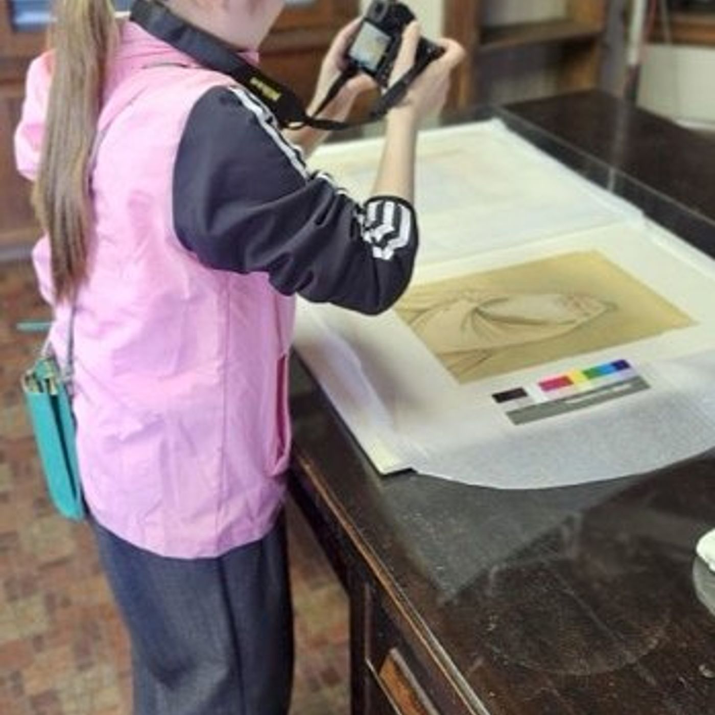 Japanese graduate student studies rare Buddhist paintings at Hegeler Carus Mansion episode artwork