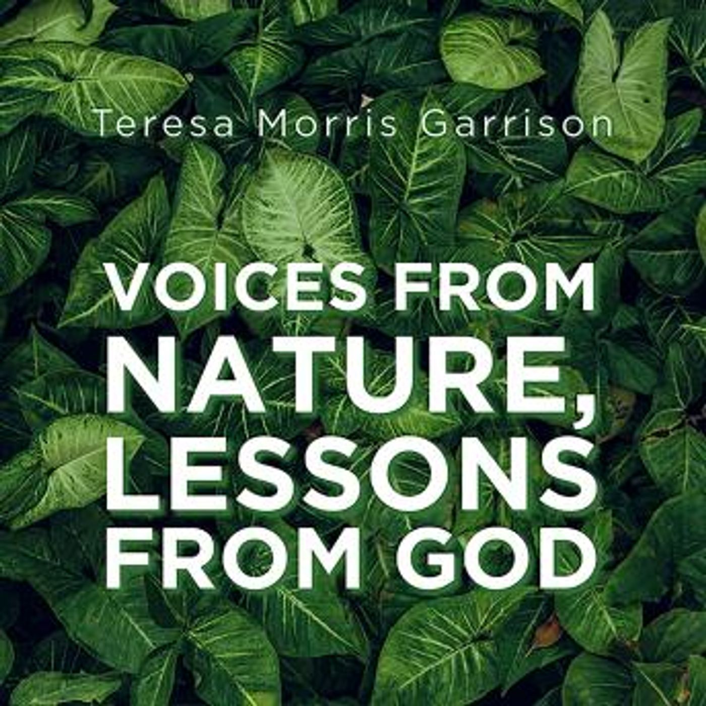 Access Must-Have Full Audiobooks in Religion & Spirituality, Christianity