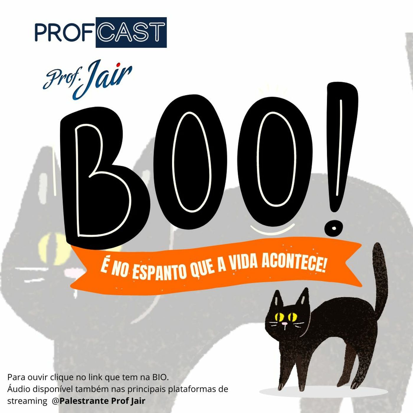 Palestrante Prof Jair