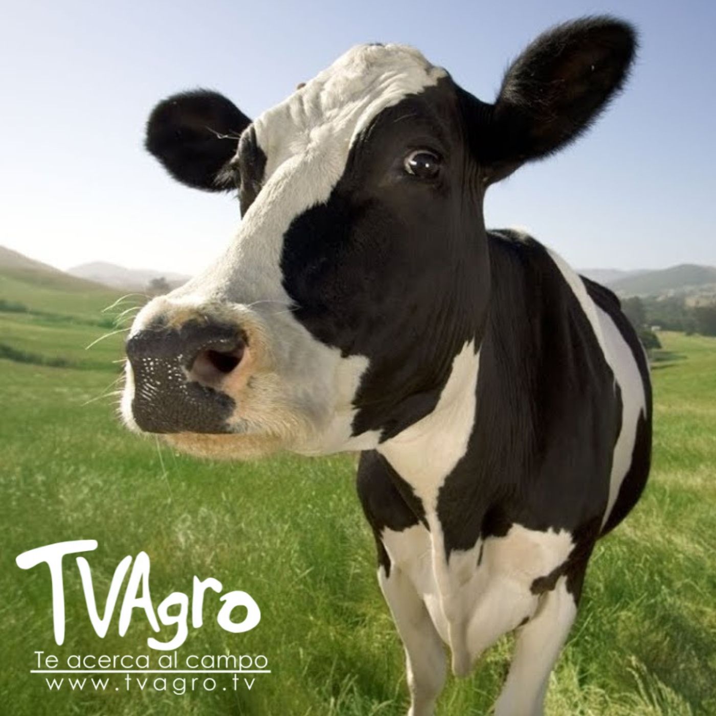 TV AGRO