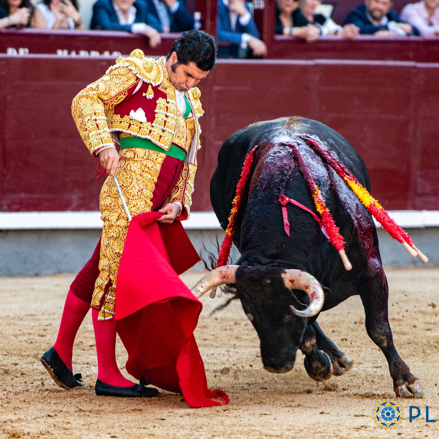 Al Alimón: Un presidente "sin criterio" niega el premio a Morante en Las Ventas