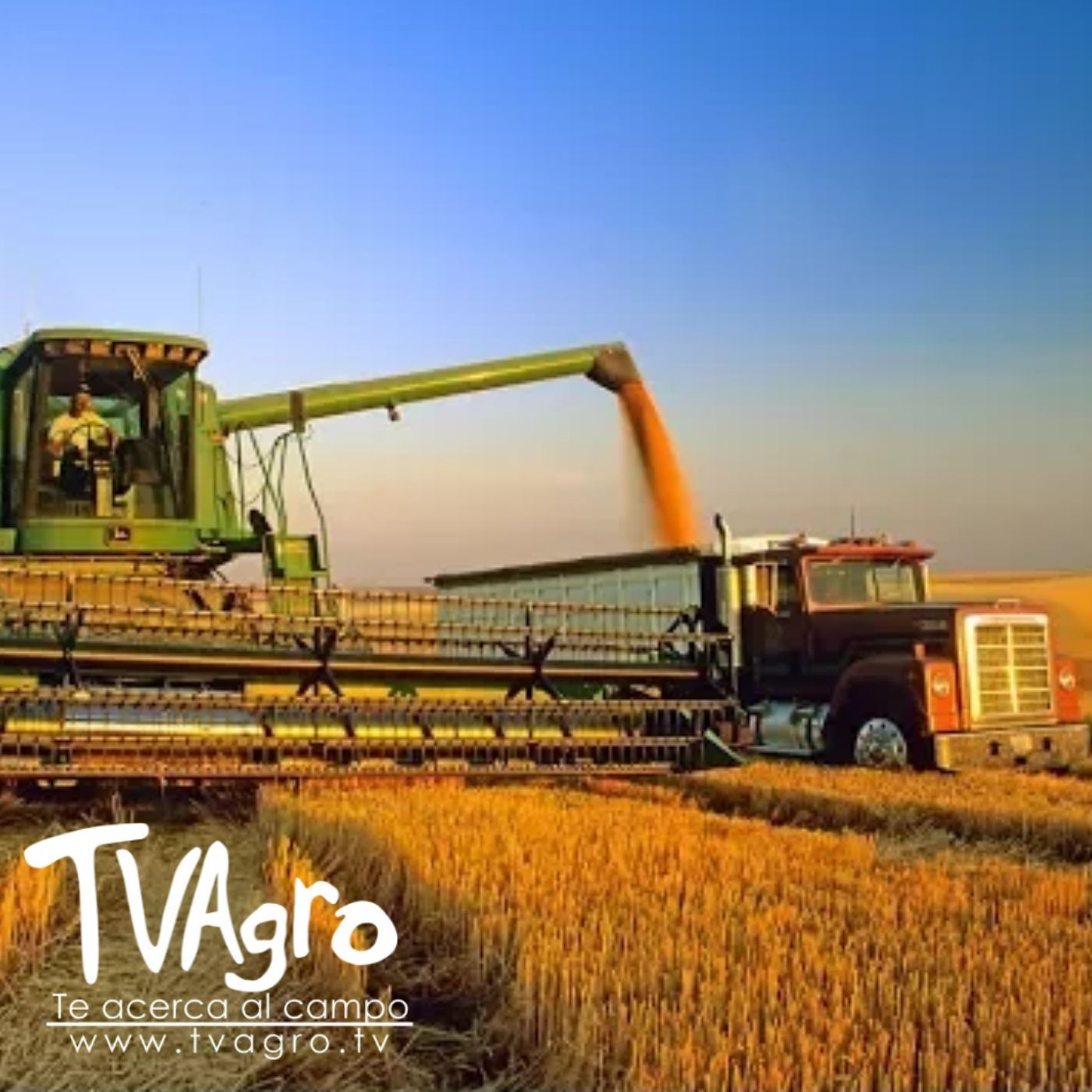 TV AGRO
