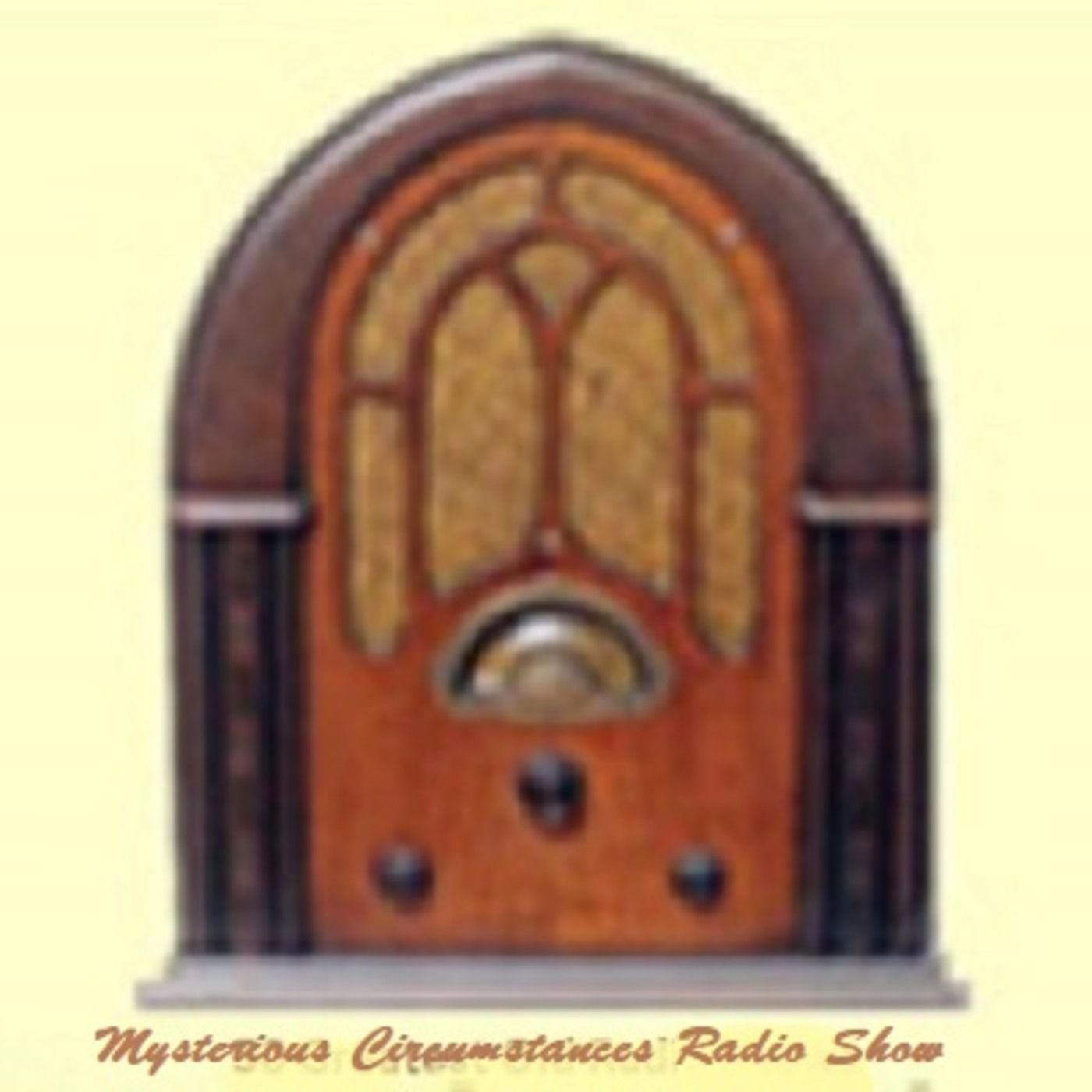 Mysterious Circumstances cover