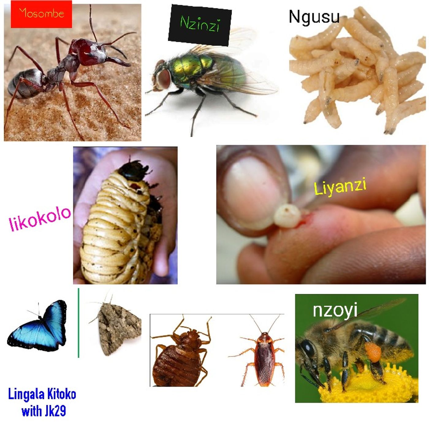 OfficialjK29\'s podcast (Lingala Kitoko)