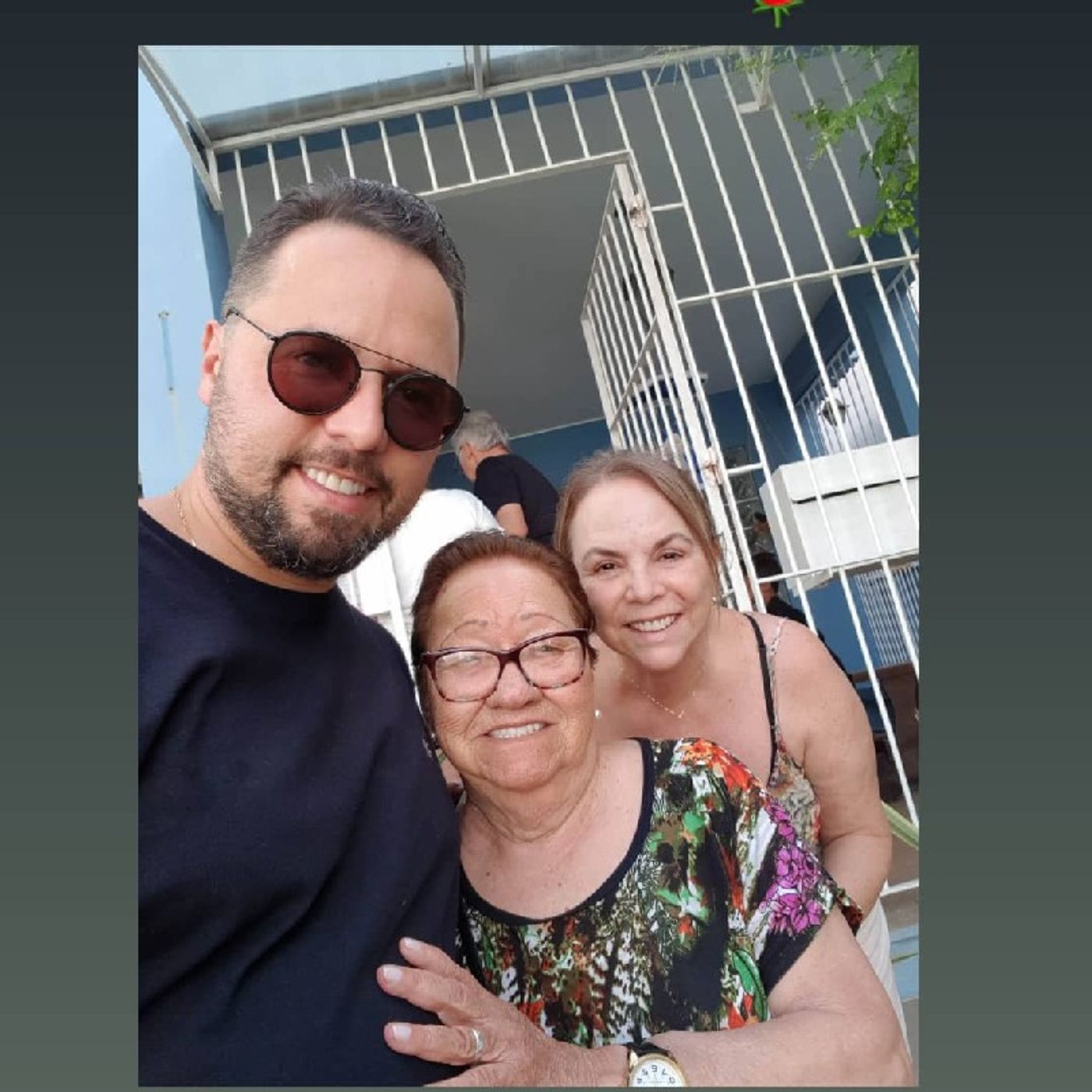 Nosso Direito Constitucional