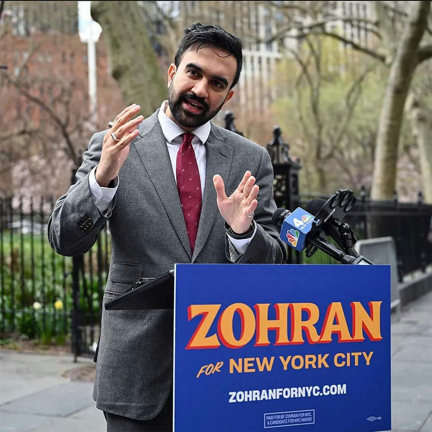 Zohran Mamdani: The Next Big Thing, Or A Democratic Dead End? episode artwork