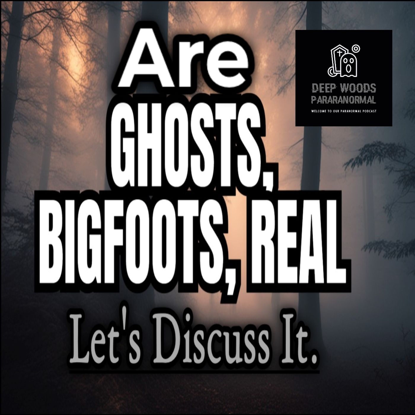We talk about all things paranormal. Hauntings, UFOS, Bigfoot Dogman and more paranormal activity.