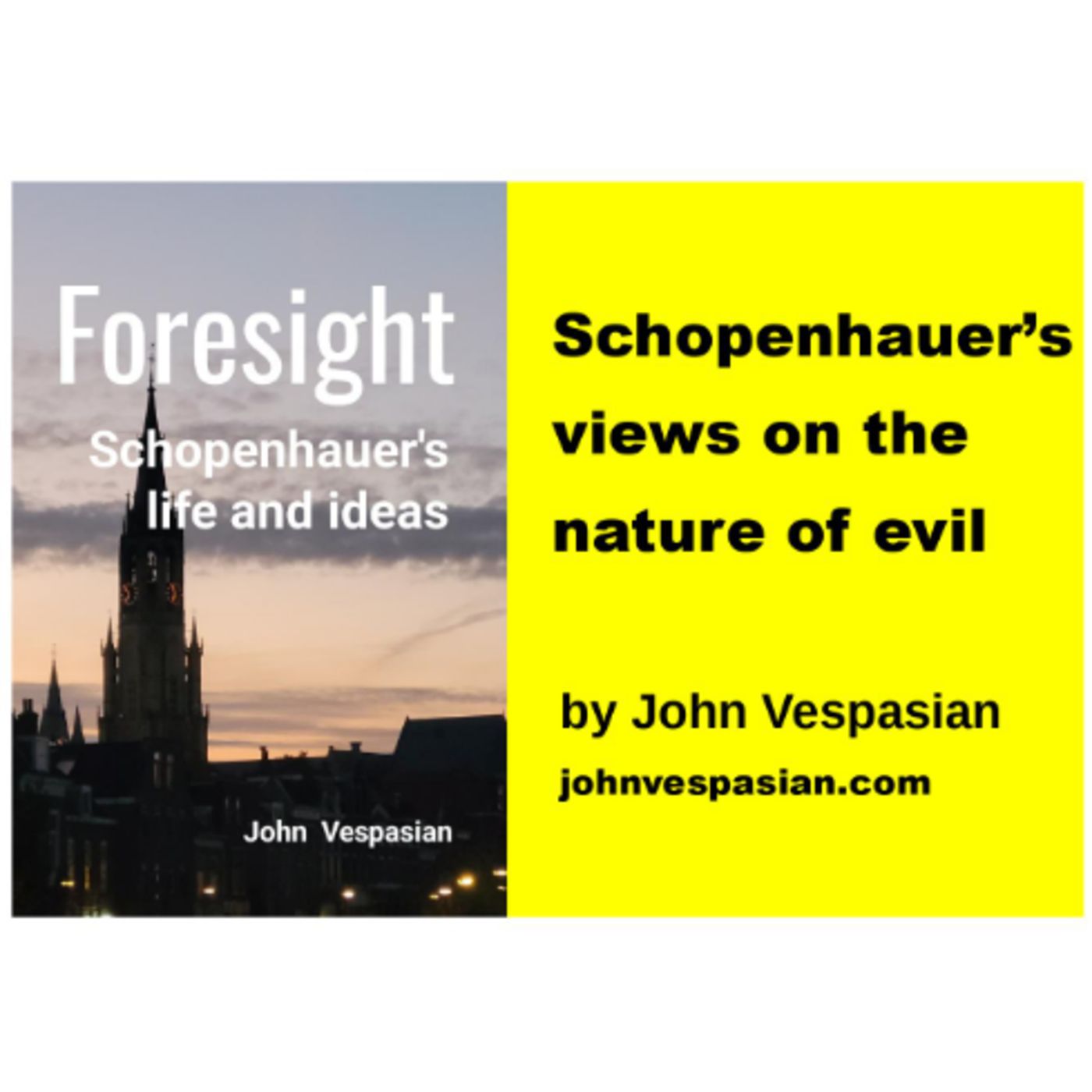 Schopenhauer’s views on the nature of evil episode artwork