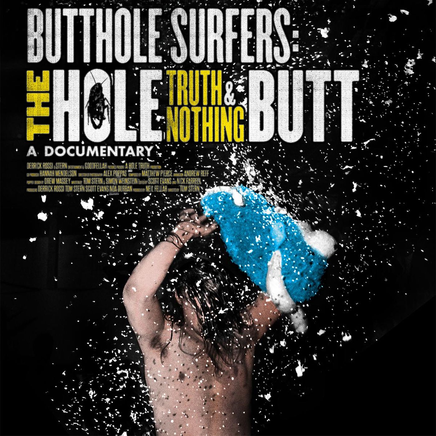 Special Report: Butthole Surfers: The Hole Truth and Nothing Butt (2025)